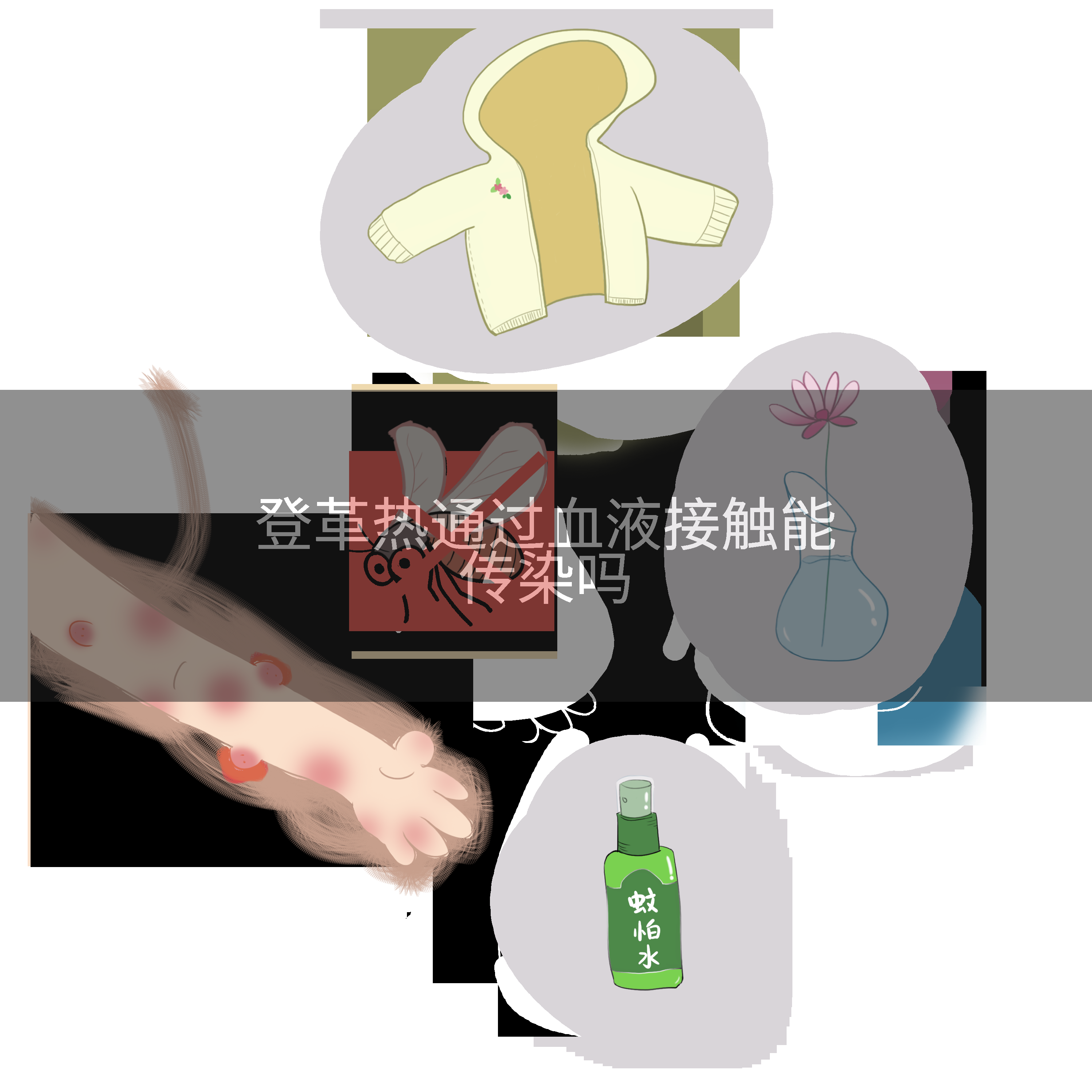 登革热通过血液接触能传染吗
