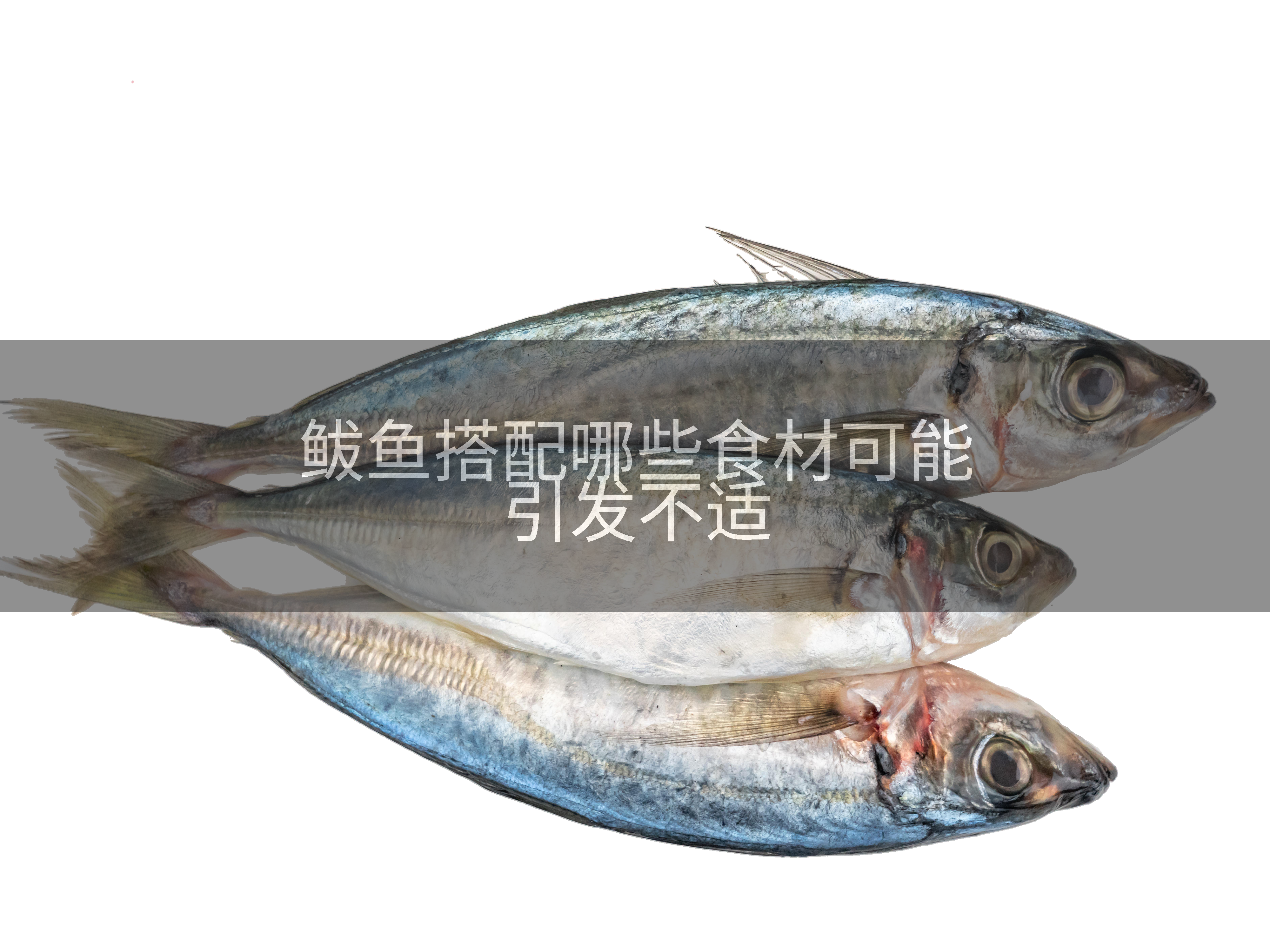鲅鱼搭配哪些食材可能引发不适