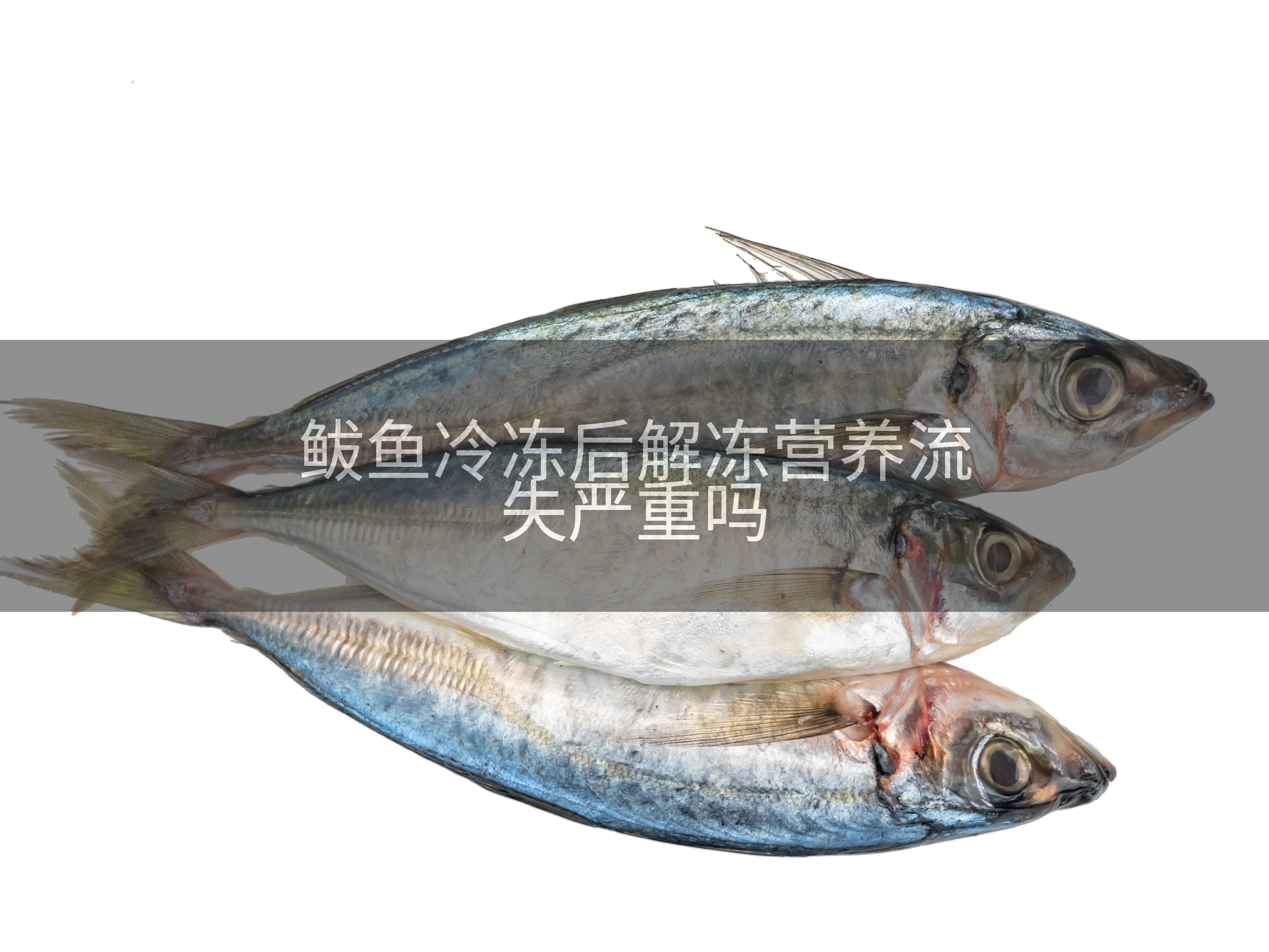 鲅鱼冷冻后解冻营养流失严重吗