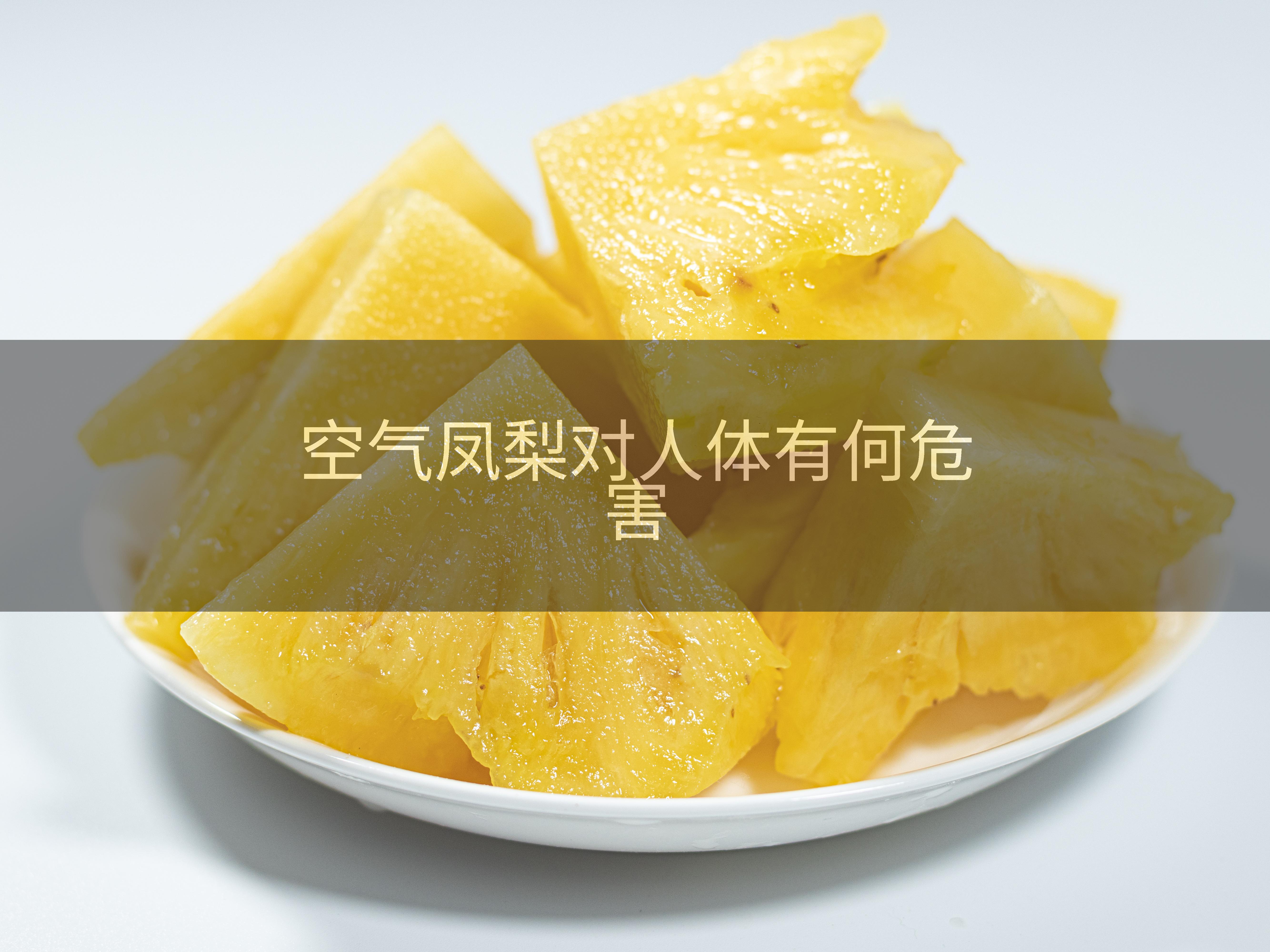 空气凤梨对人体有何危害