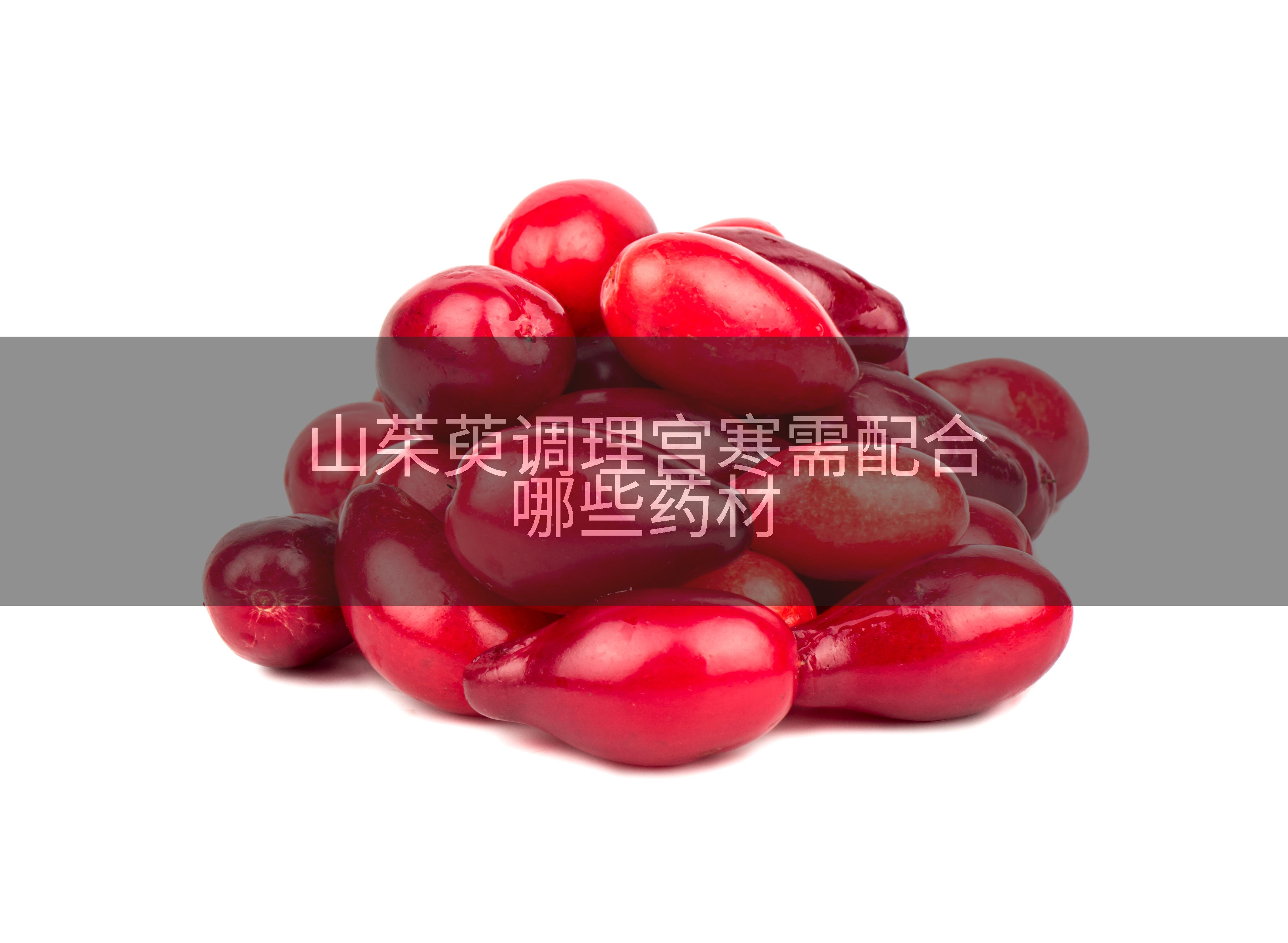 山茱萸调理宫寒需配合哪些药材