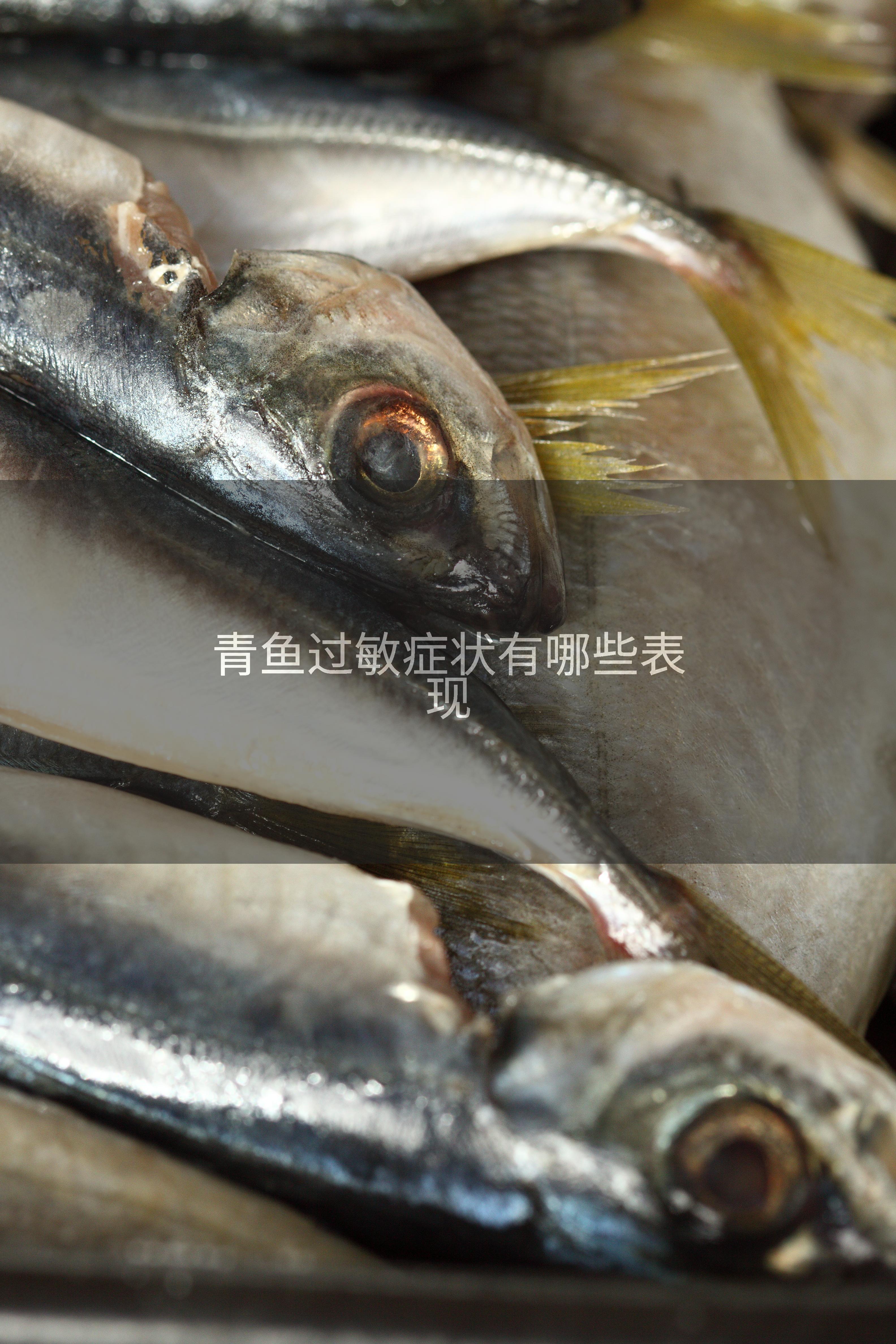 青鱼过敏症状有哪些表现