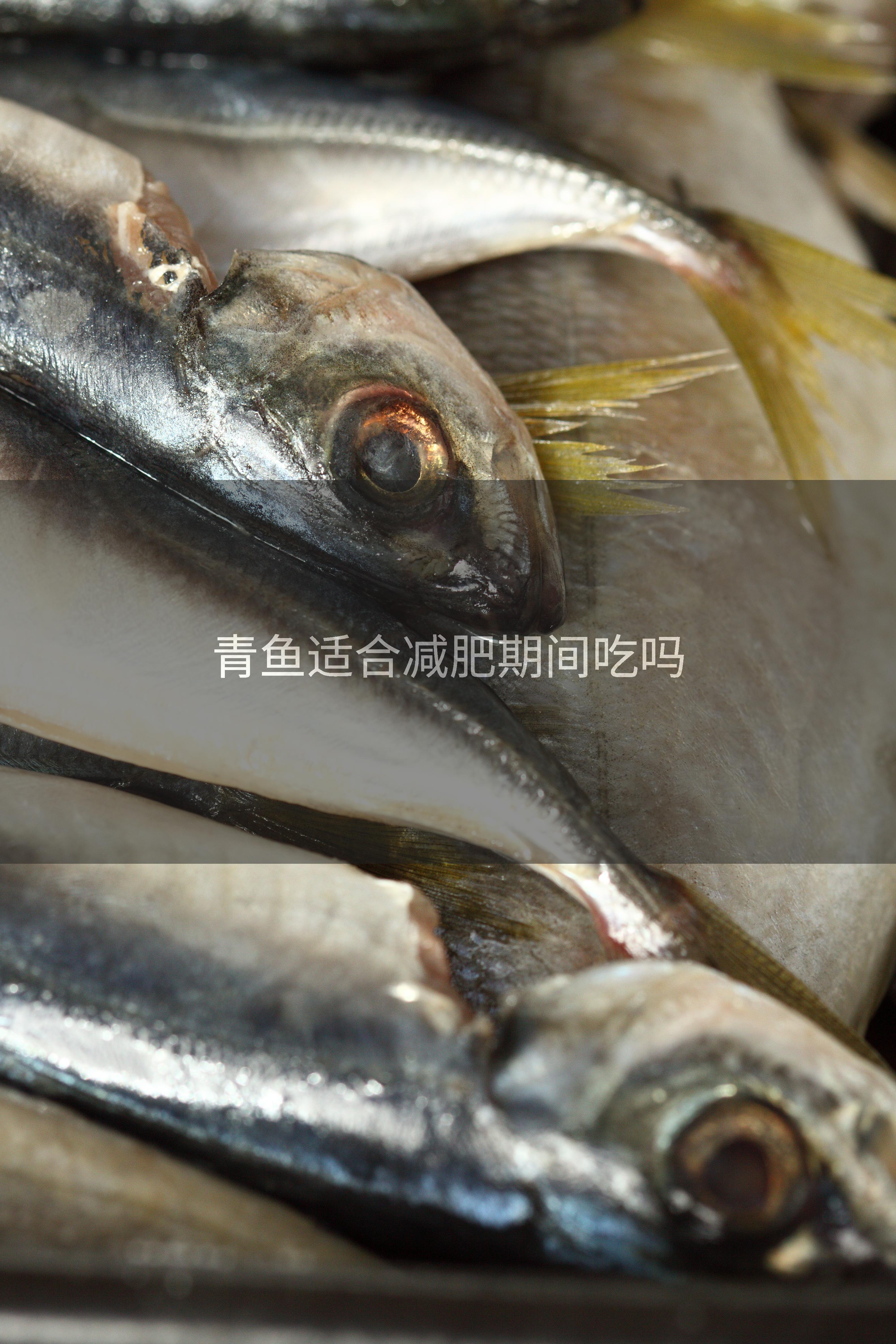 青鱼适合减肥期间吃吗