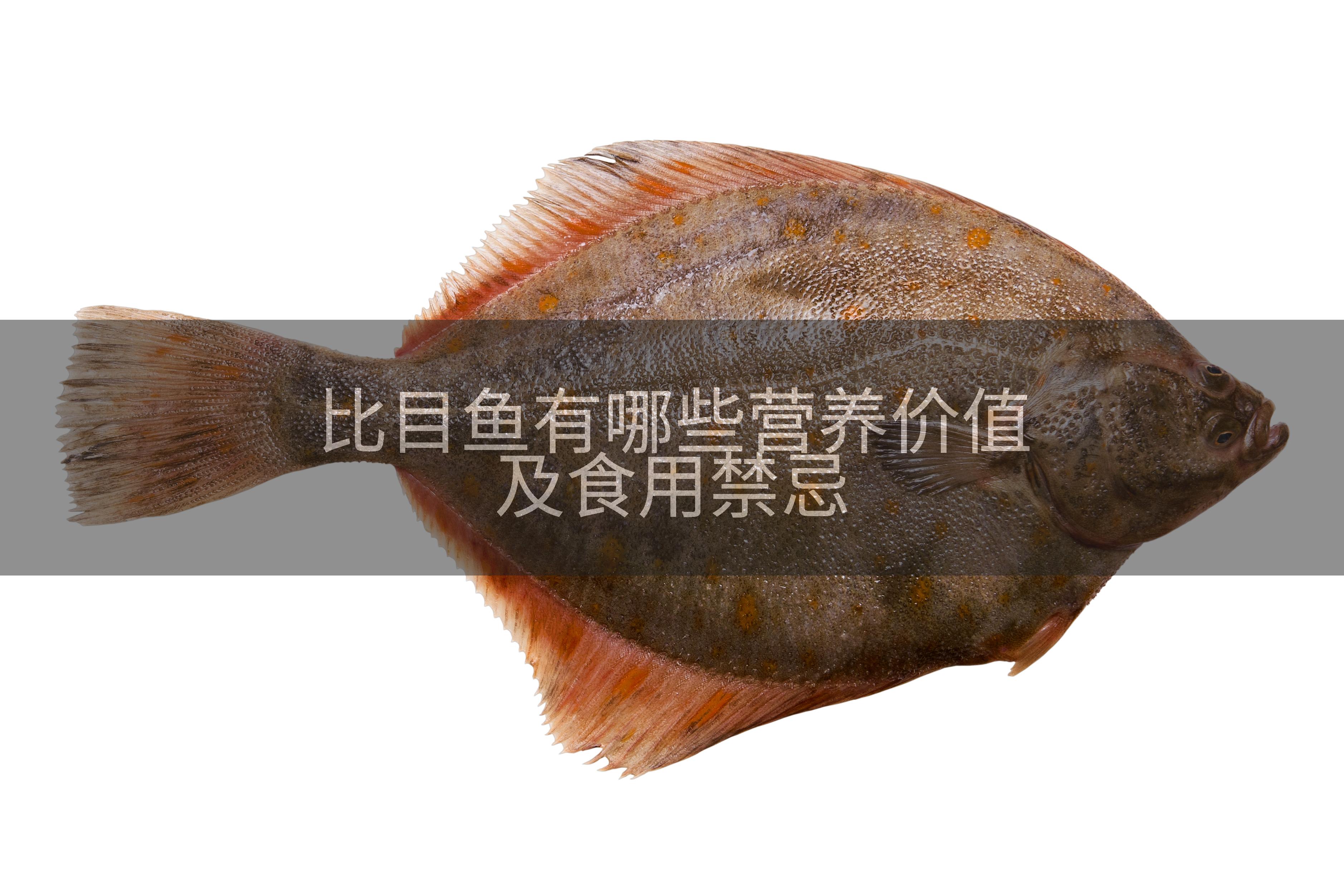 比目鱼有哪些营养价值及食用禁忌