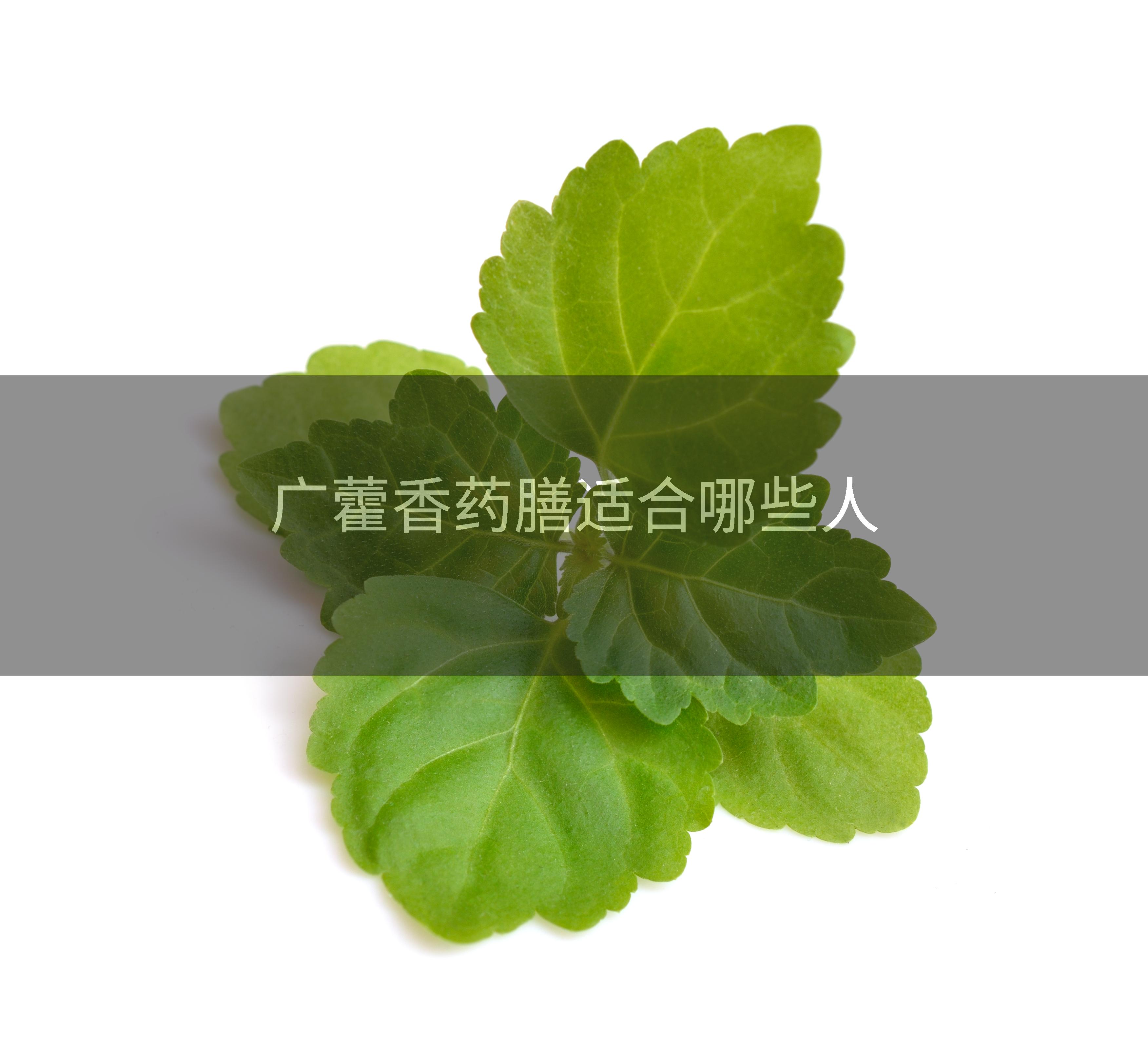 广藿香药膳适合哪些人