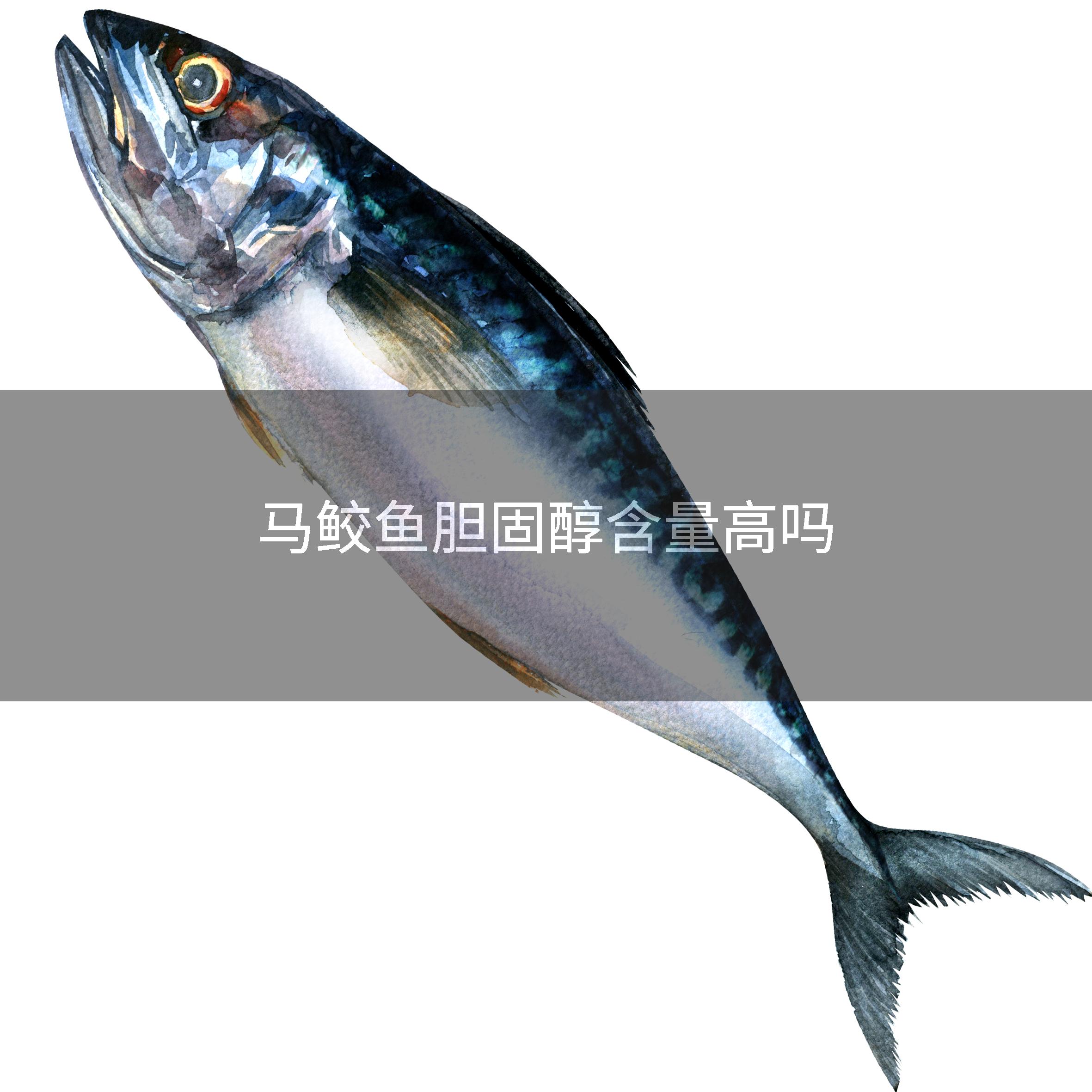 马鲛鱼胆固醇含量高吗