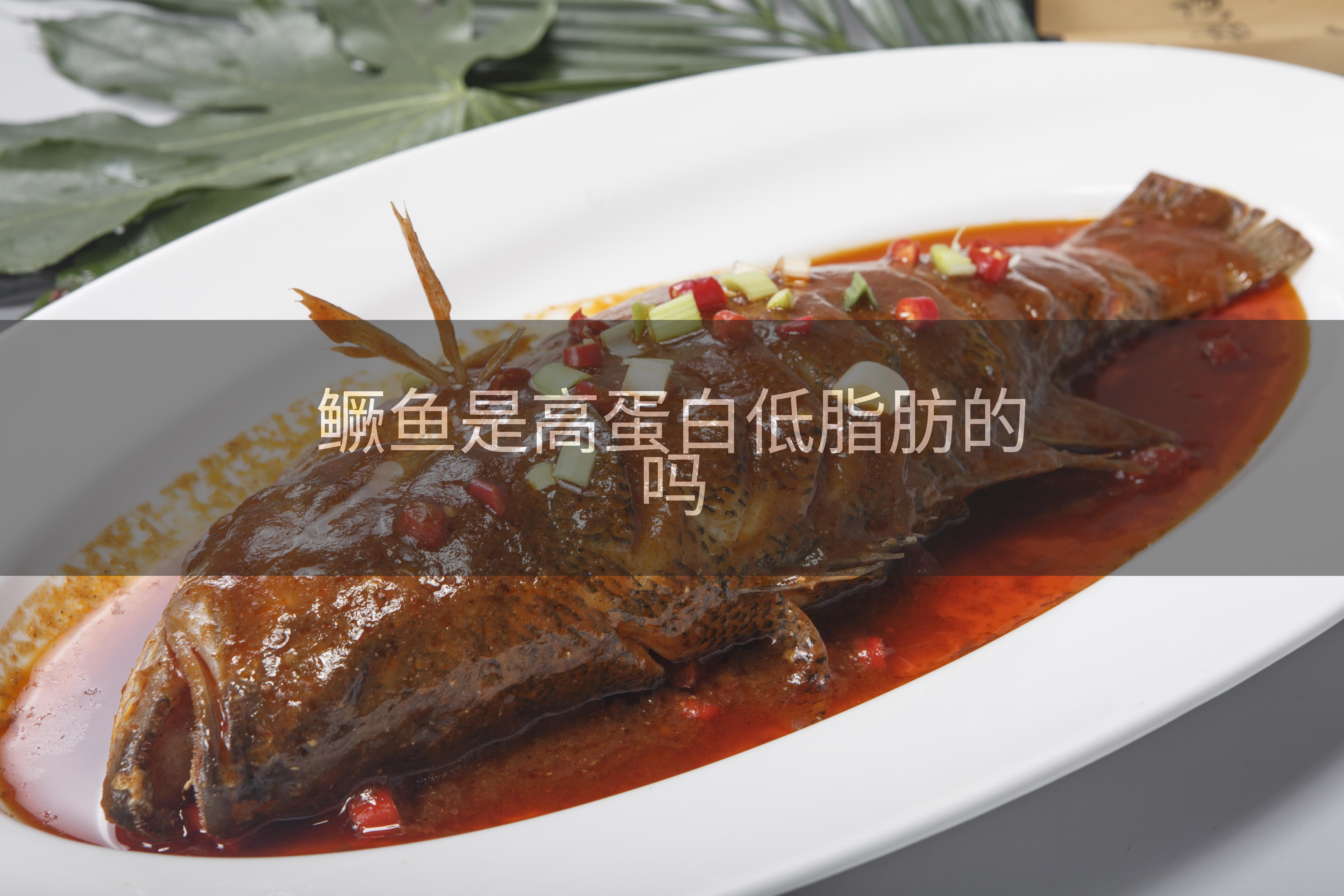 鳜鱼是高蛋白低脂肪的吗