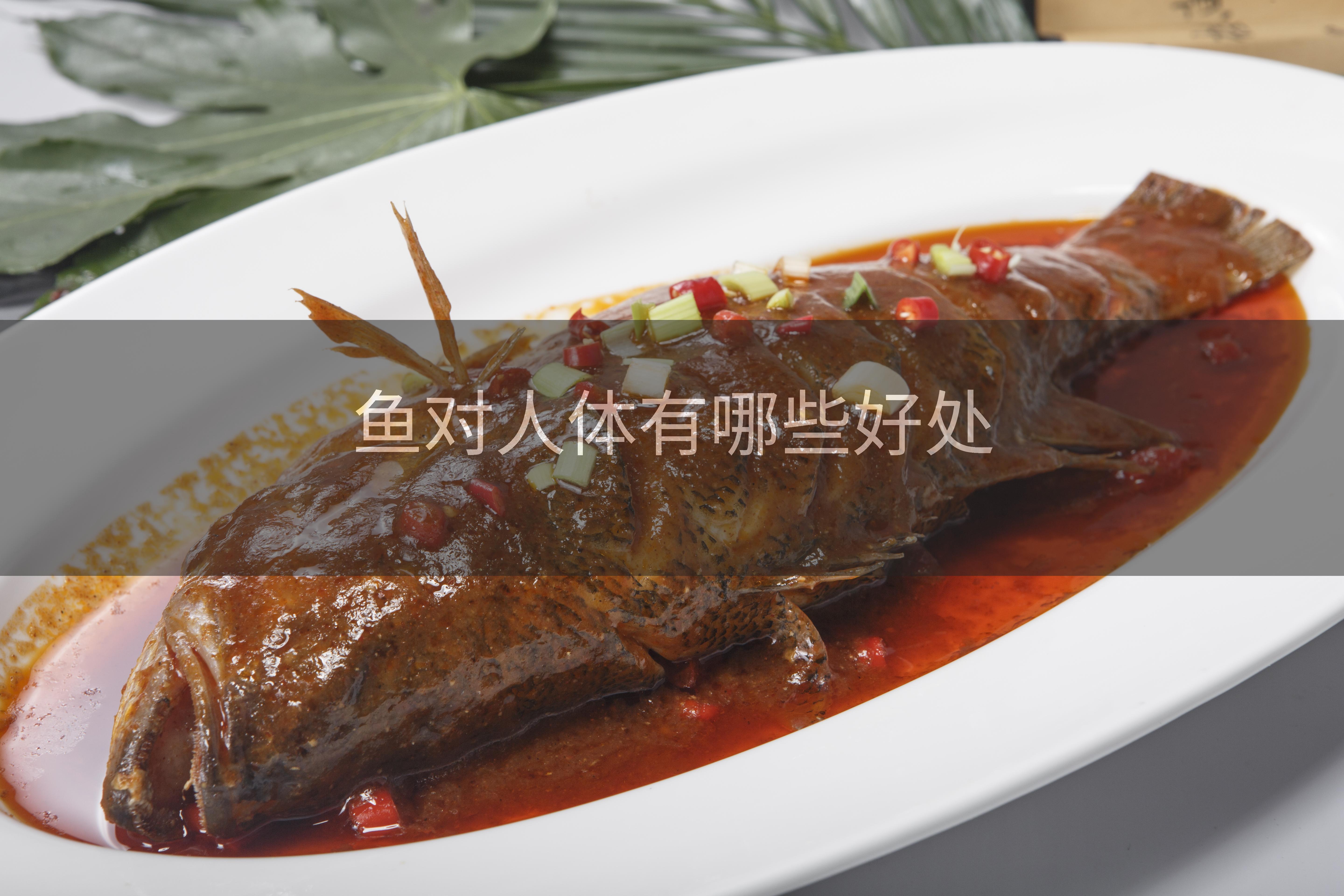 鱼对人体有哪些好处