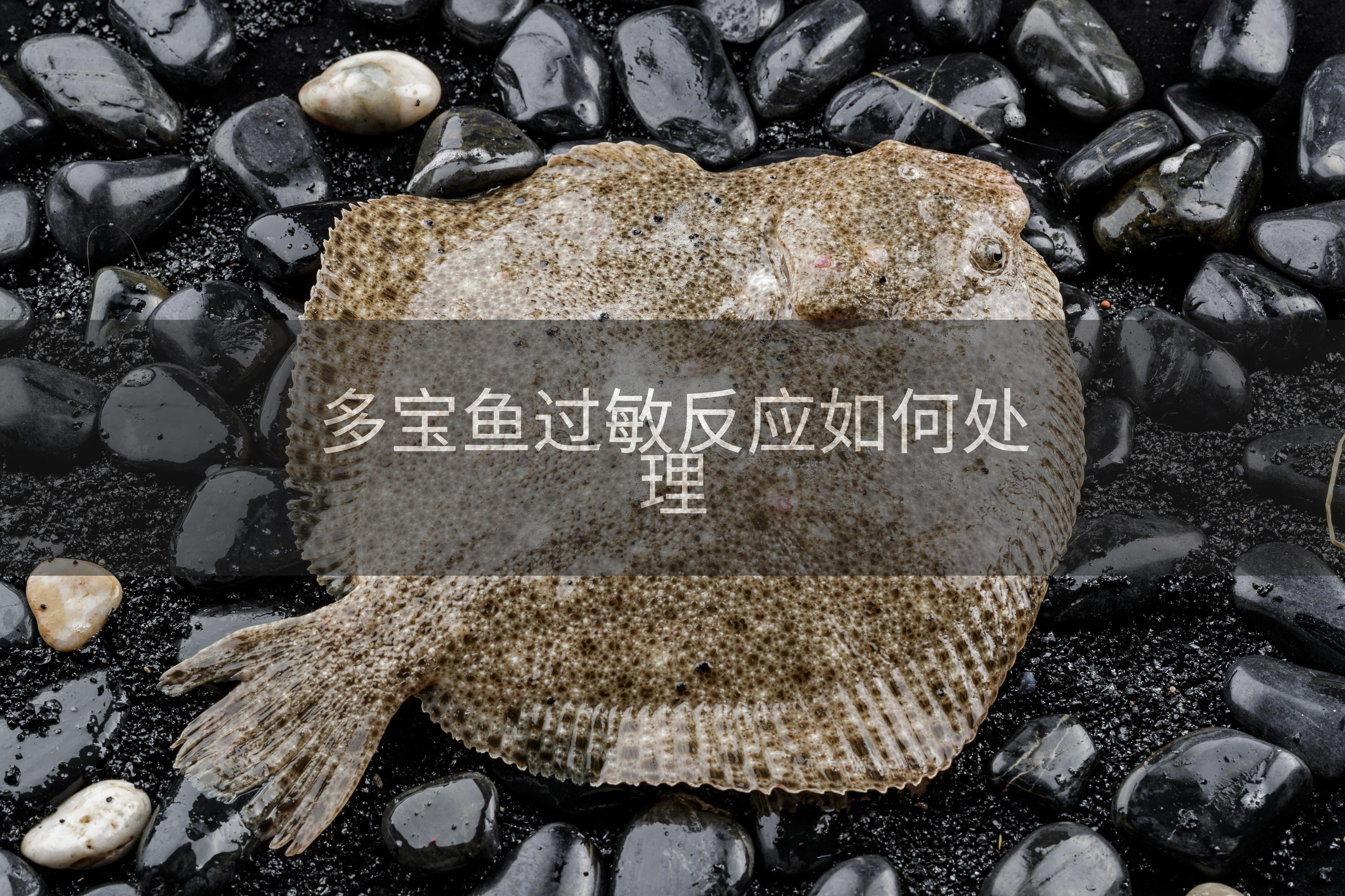 多宝鱼过敏反应如何处理