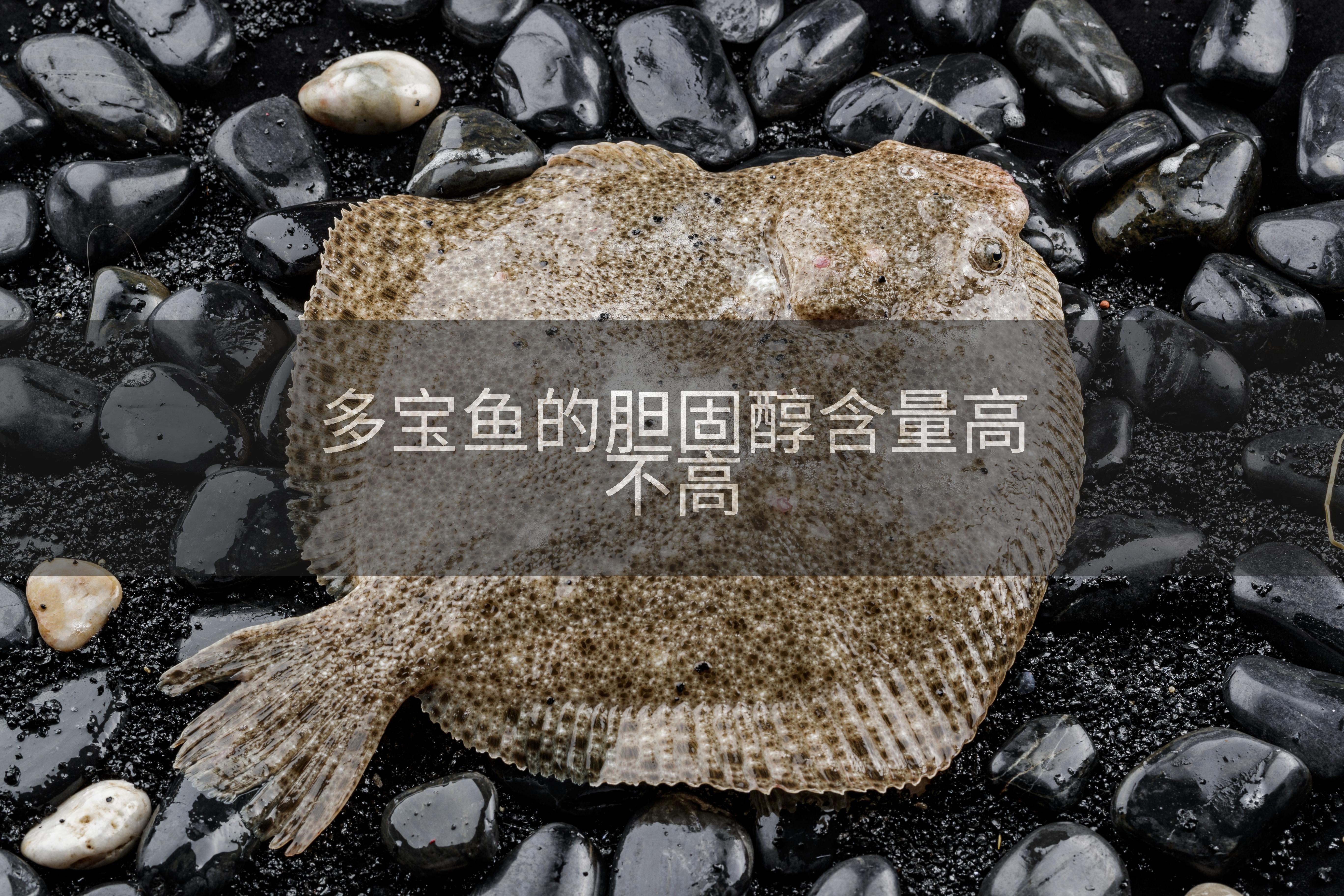 多宝鱼的胆固醇含量高不高
