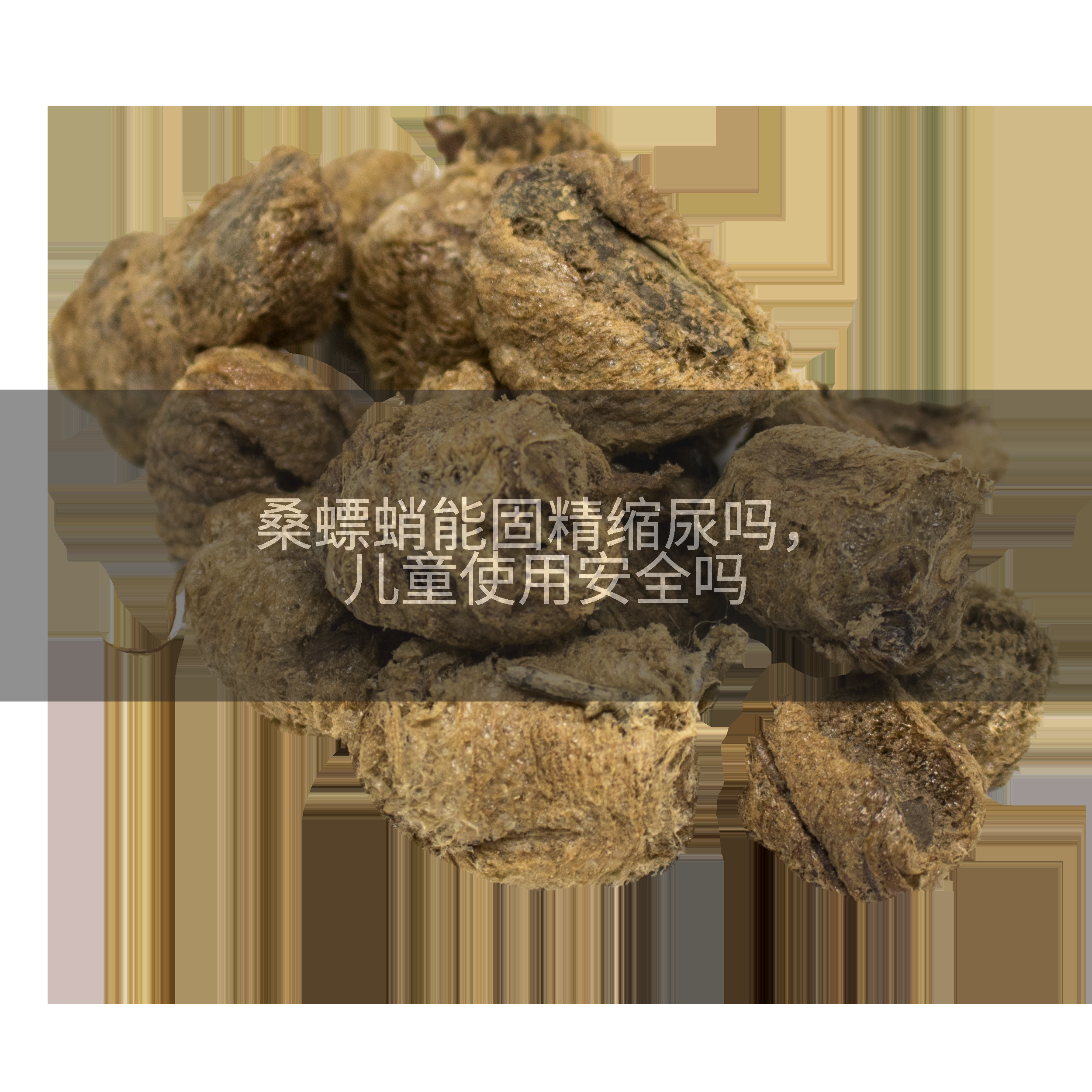 桑螵蛸能固精缩尿吗，儿童使用安全吗