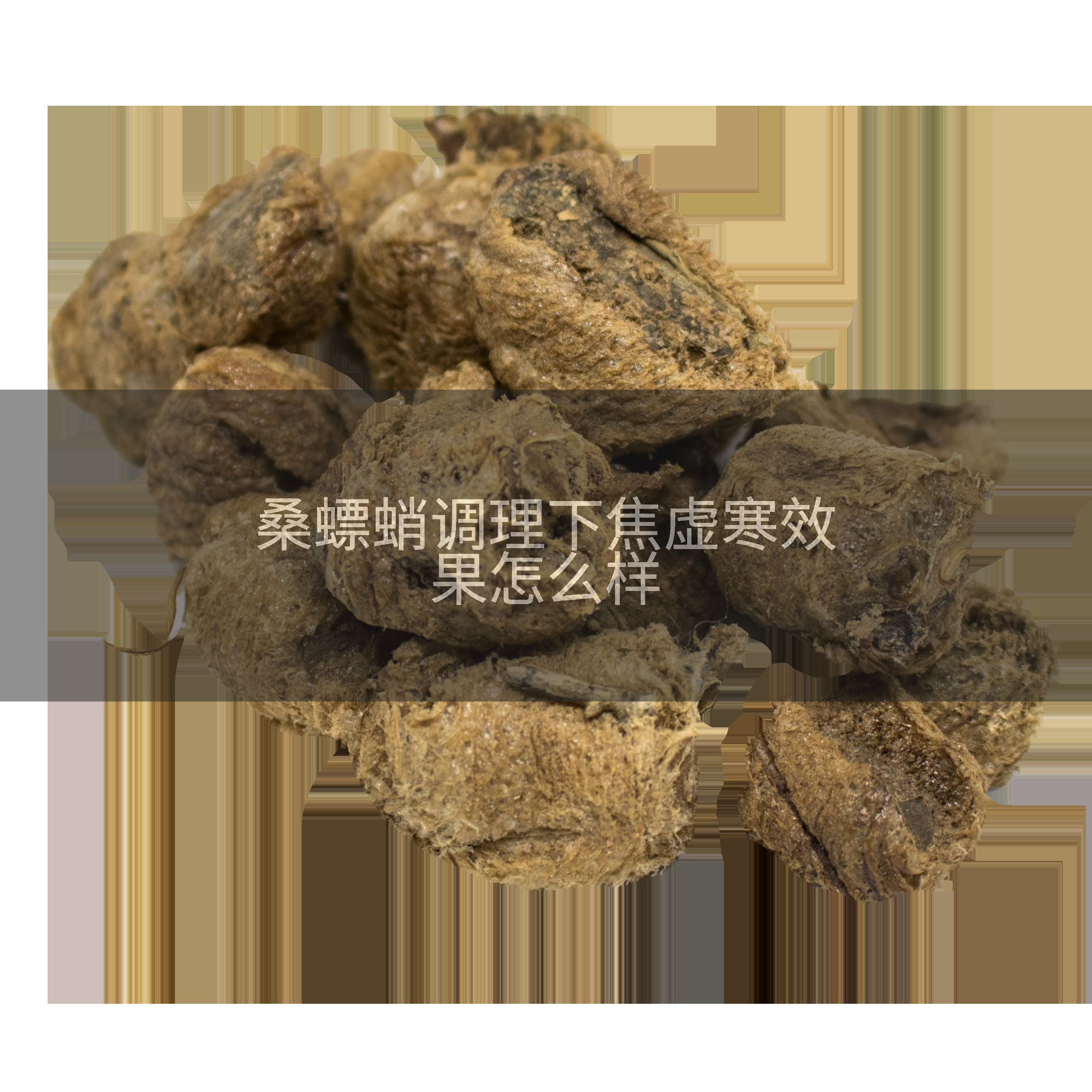 桑螵蛸调理下焦虚寒效果怎么样