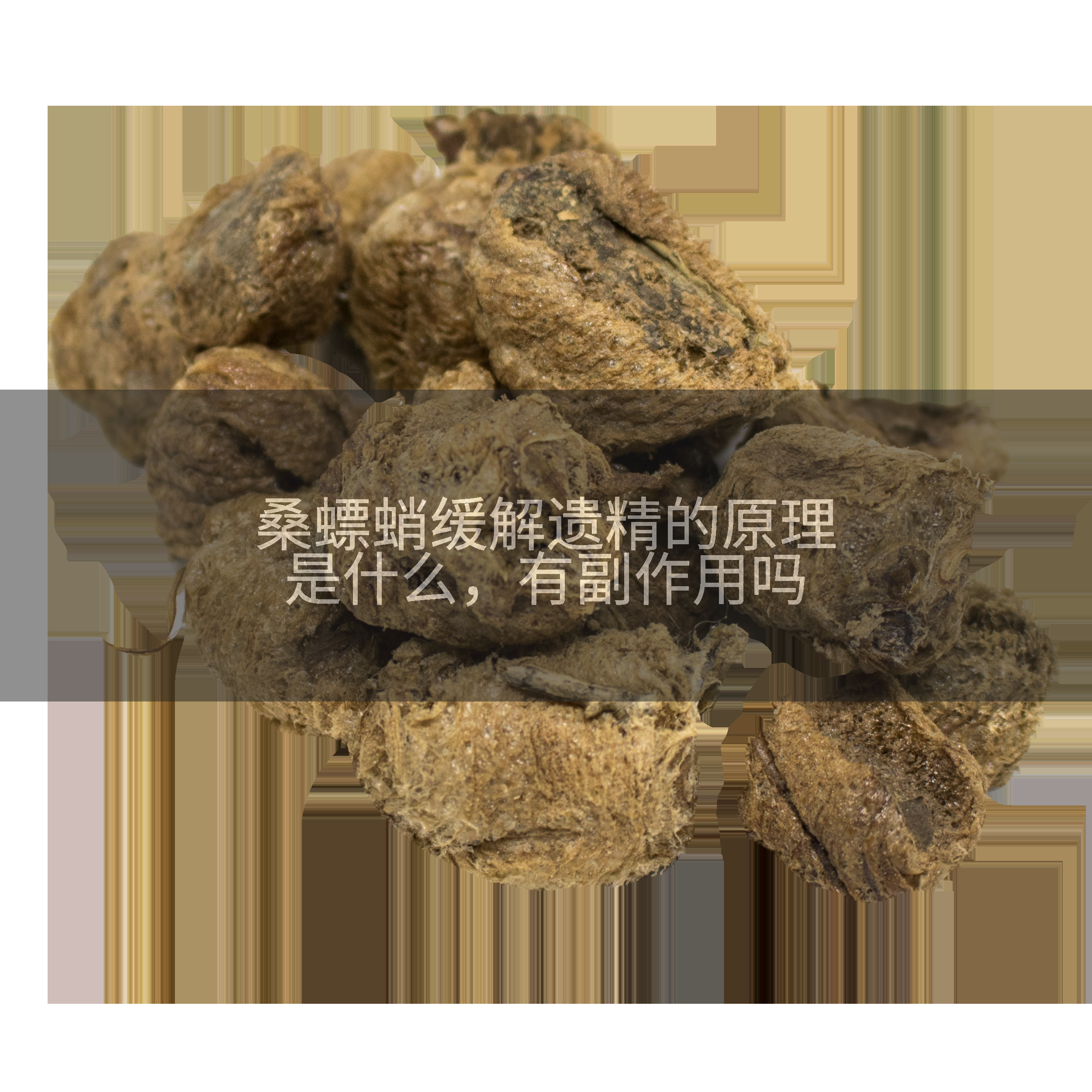桑螵蛸缓解遗精的原理是什么，有副作用吗