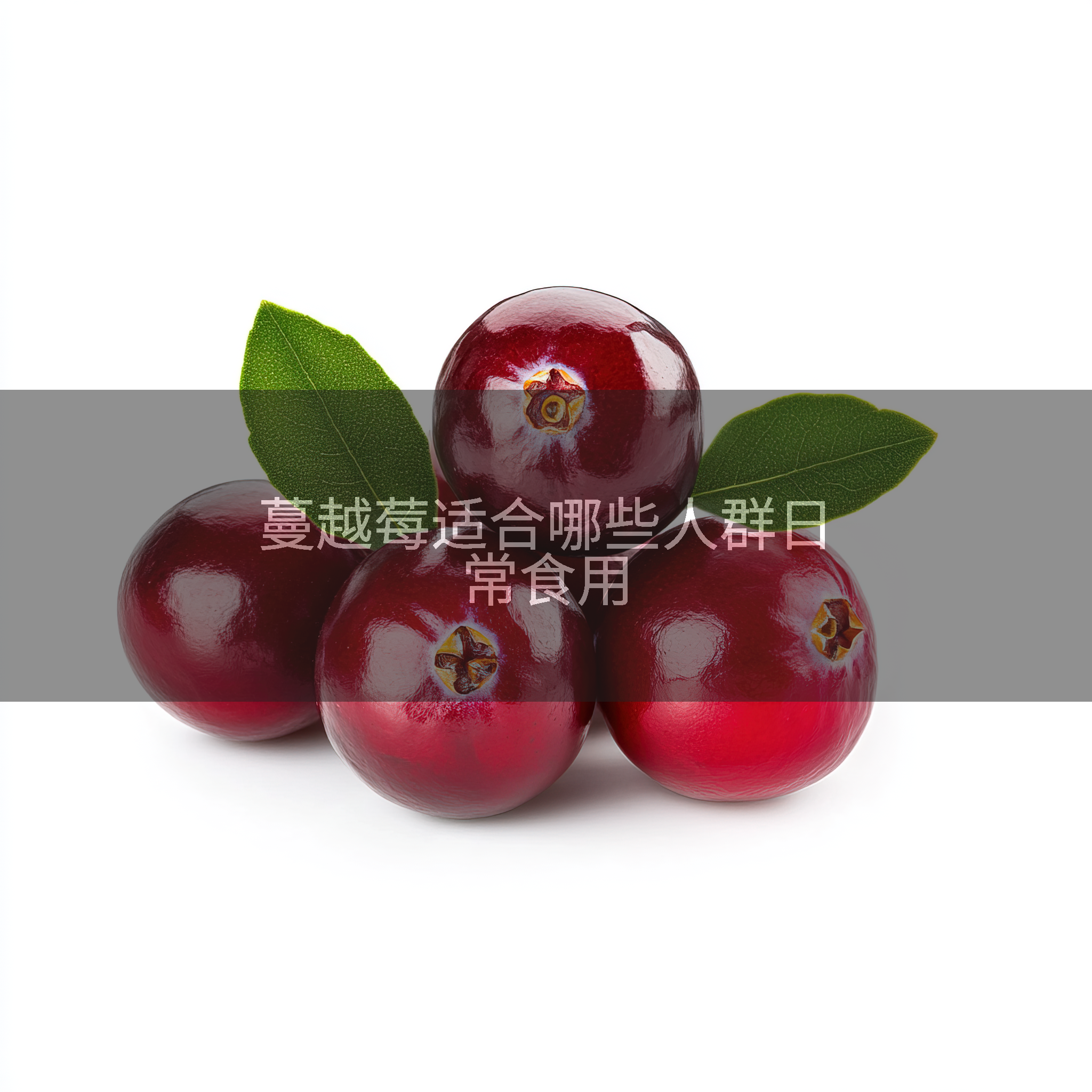 蔓越莓适合哪些人群日常食用