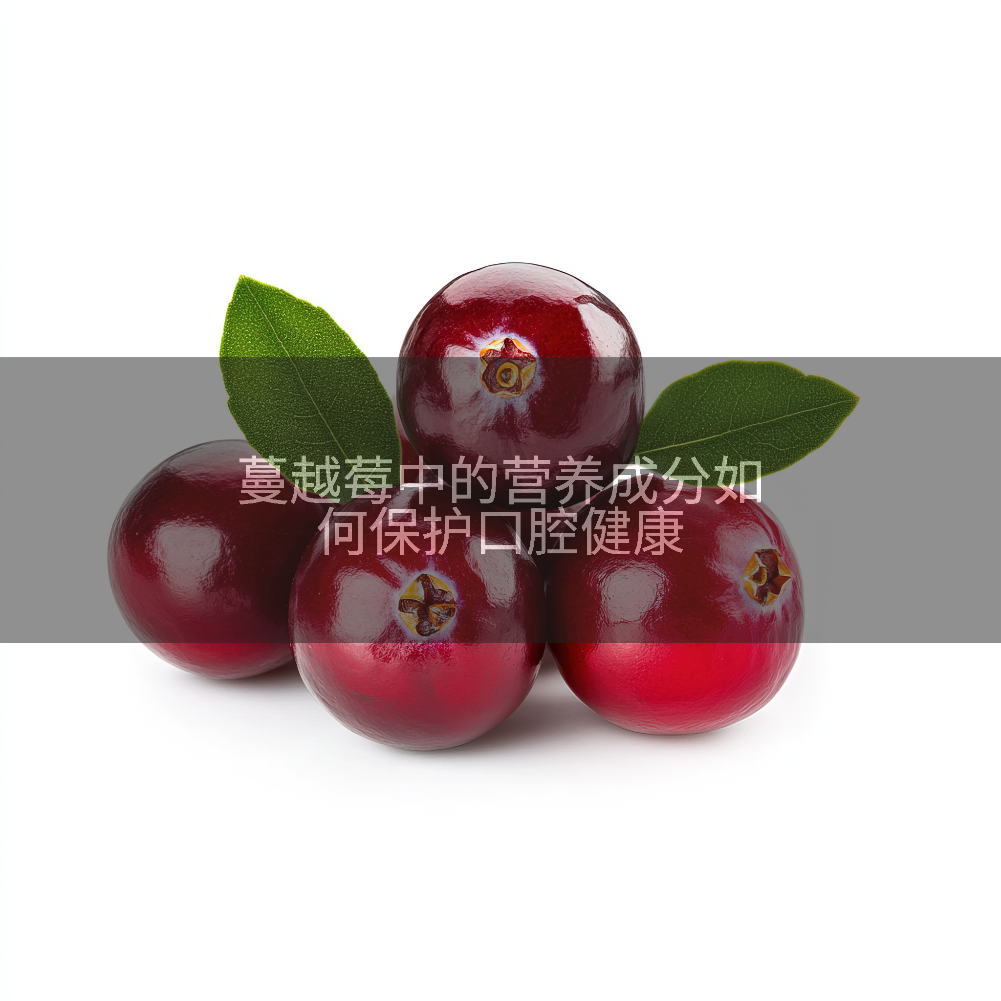 蔓越莓中的营养成分如何保护口腔健康