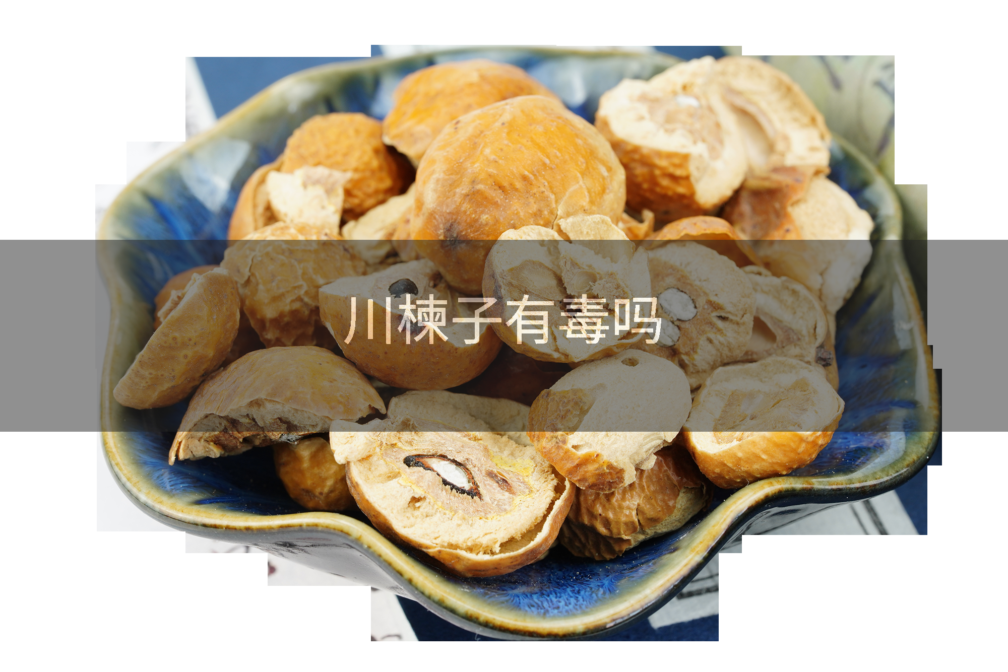 川楝子有毒吗
