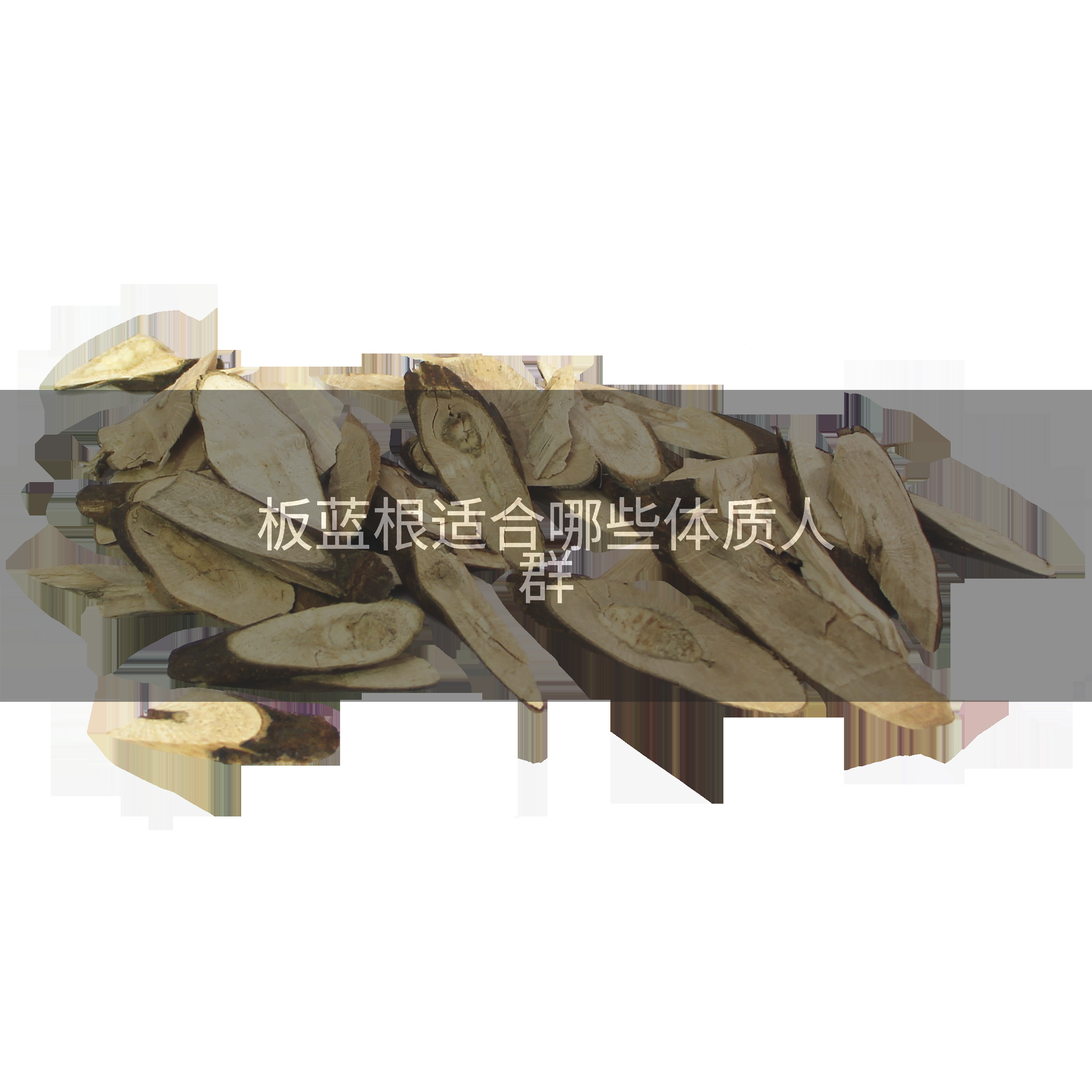 板蓝根适合哪些体质人群