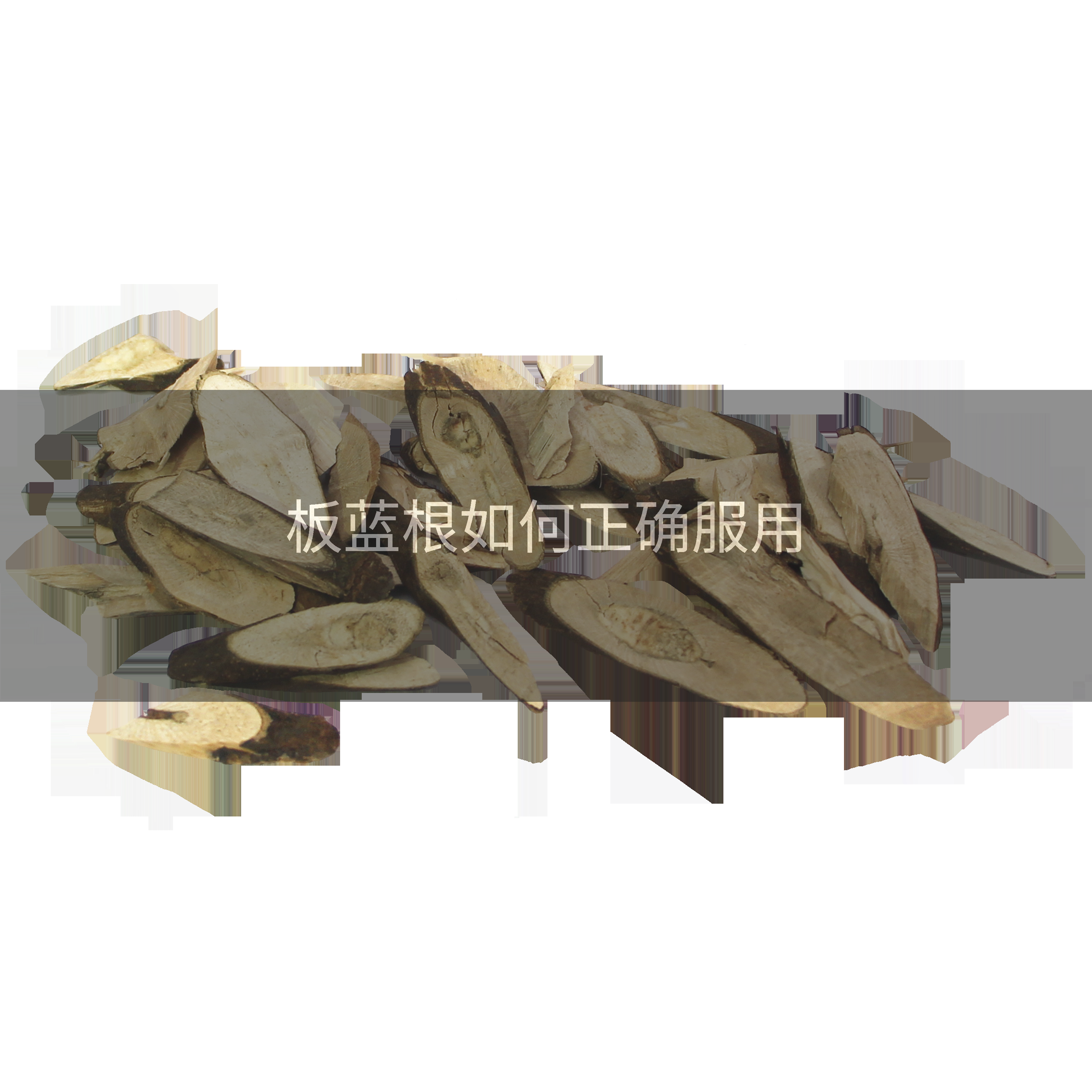 板蓝根如何正确服用
