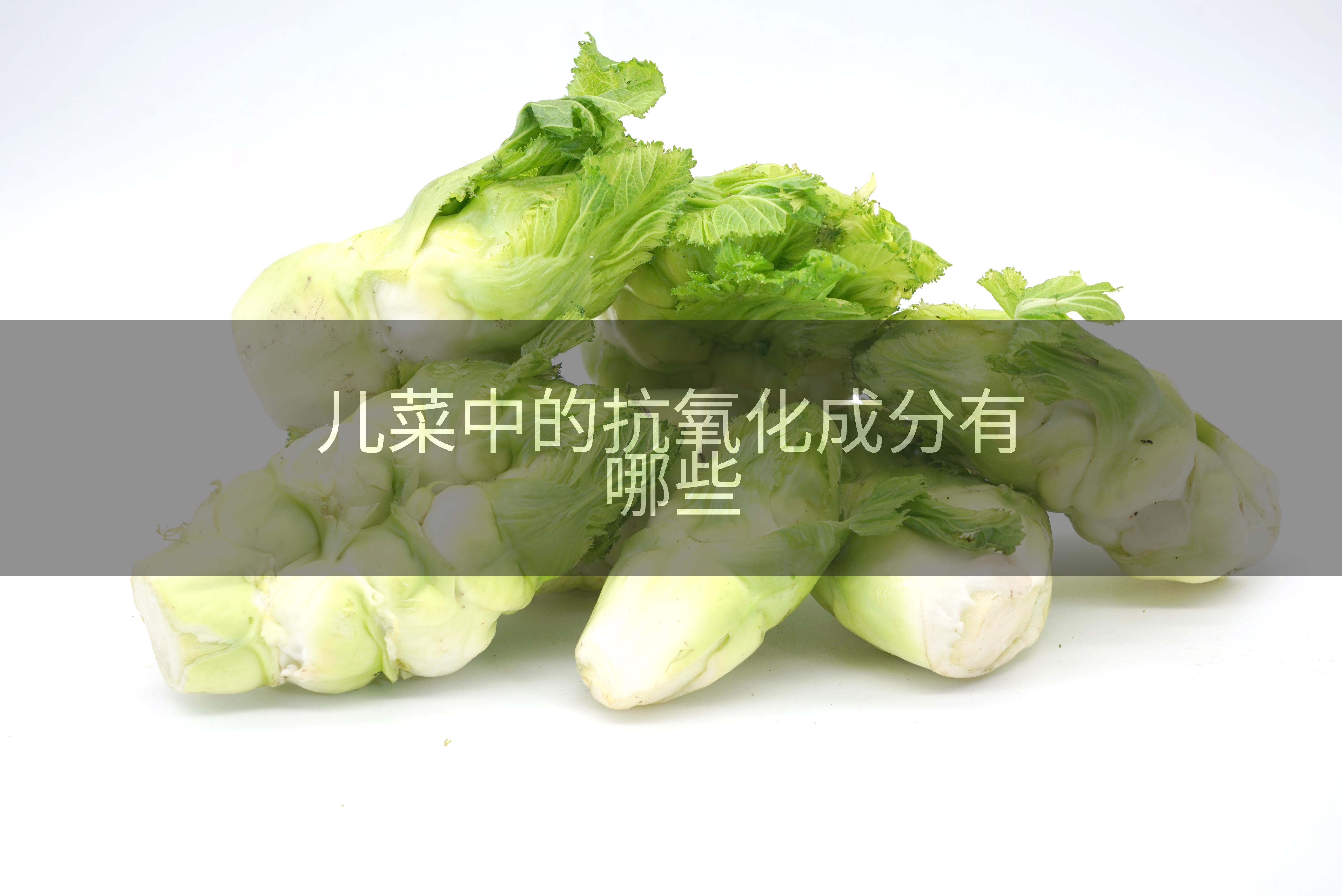 儿菜中的抗氧化成分有哪些