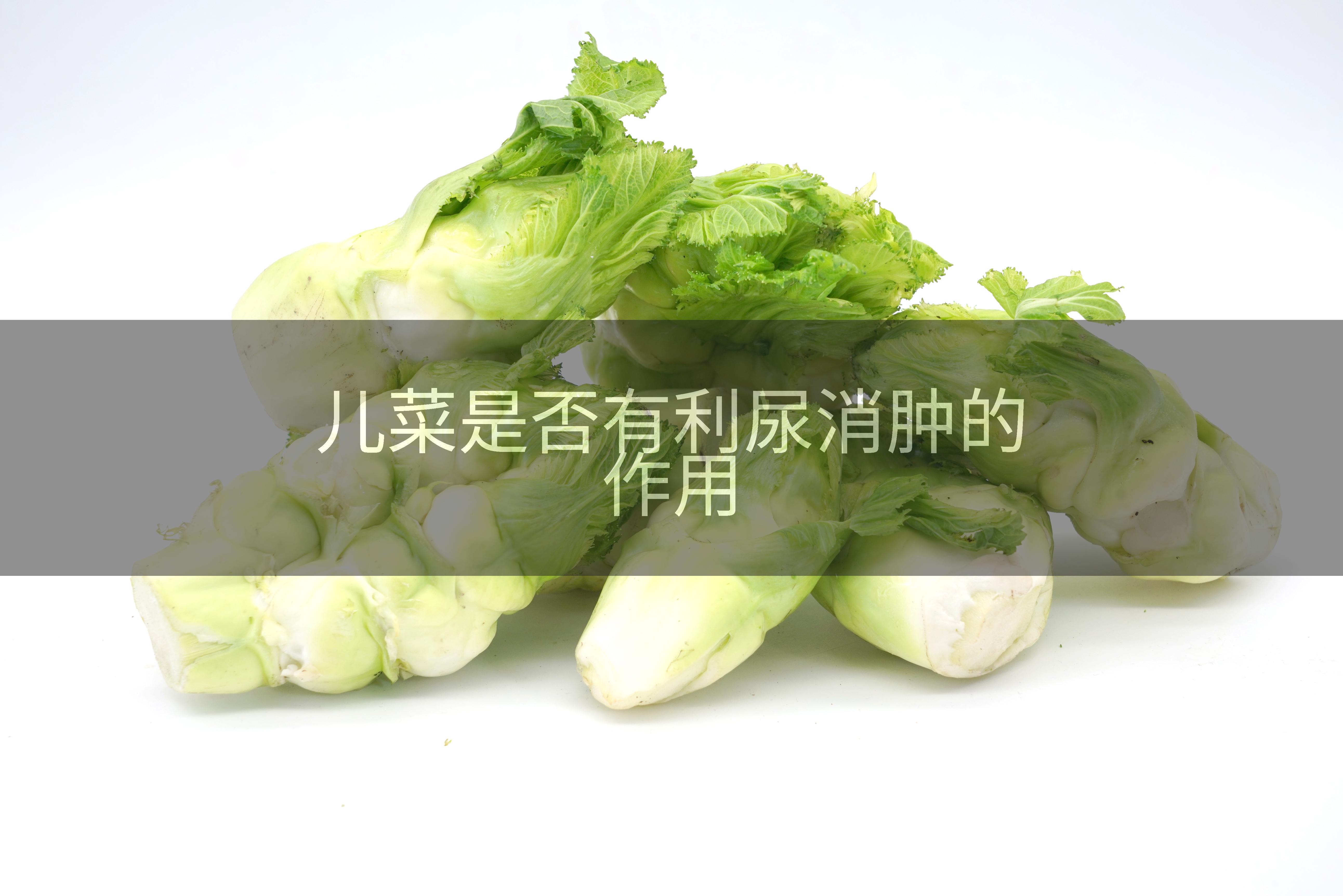 儿菜是否有利尿消肿的作用