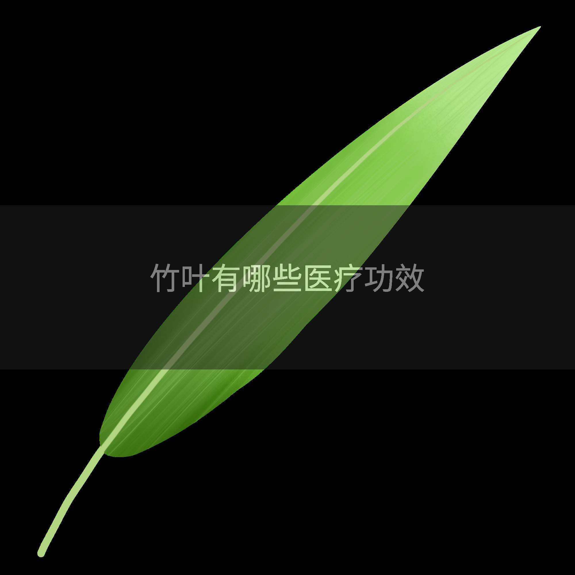竹叶有哪些医疗功效