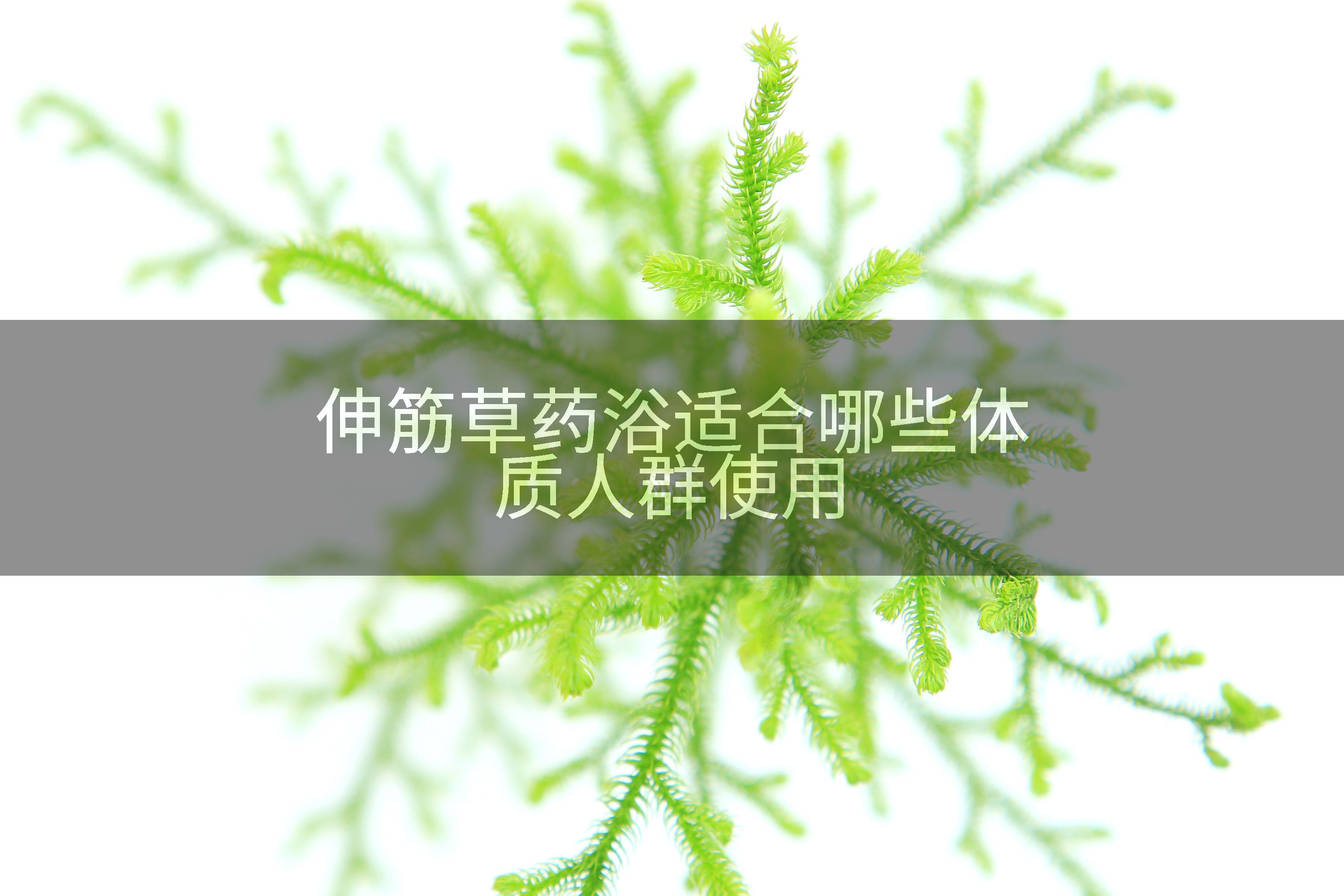 伸筋草药浴适合哪些体质人群使用