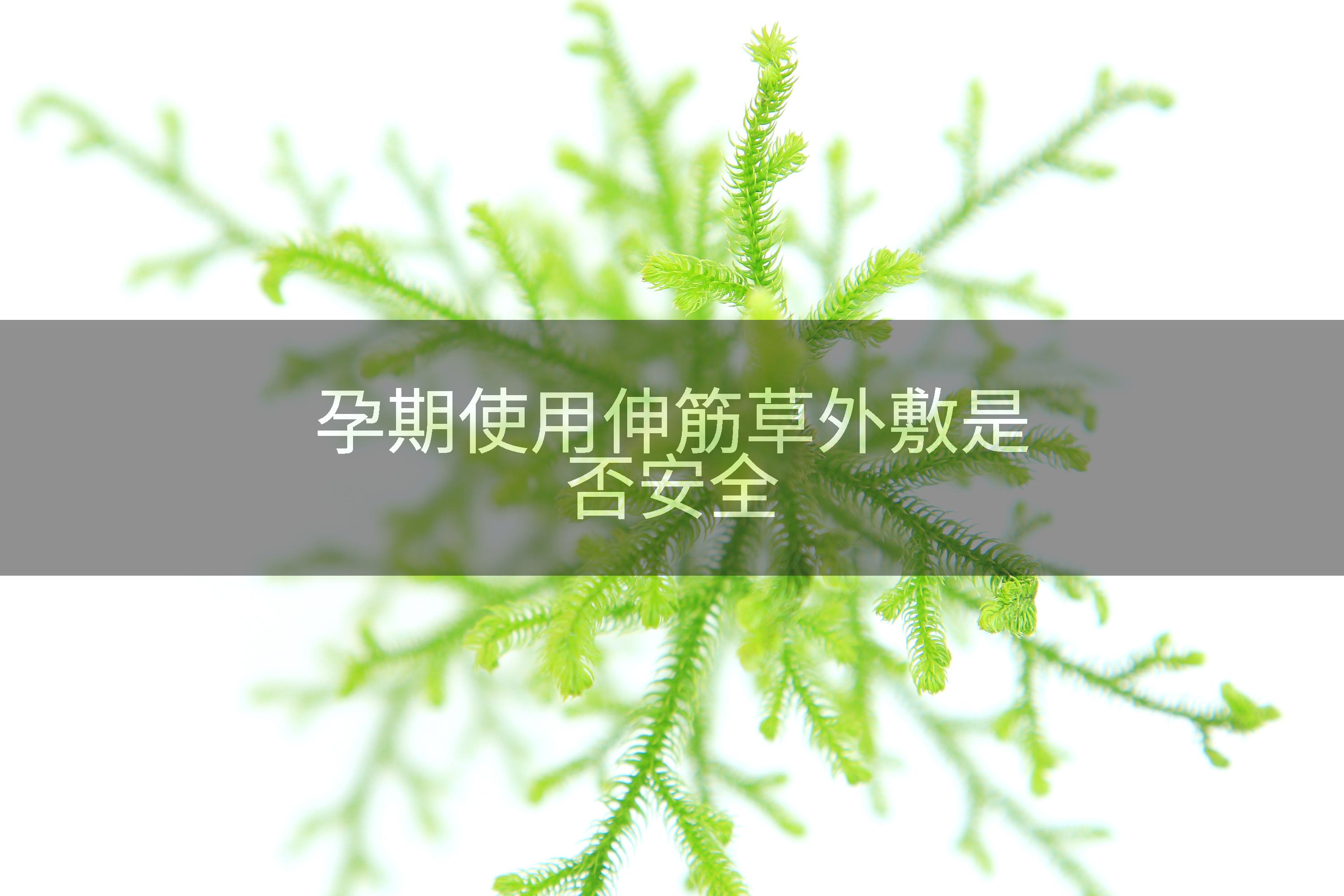 孕期使用伸筋草外敷是否安全