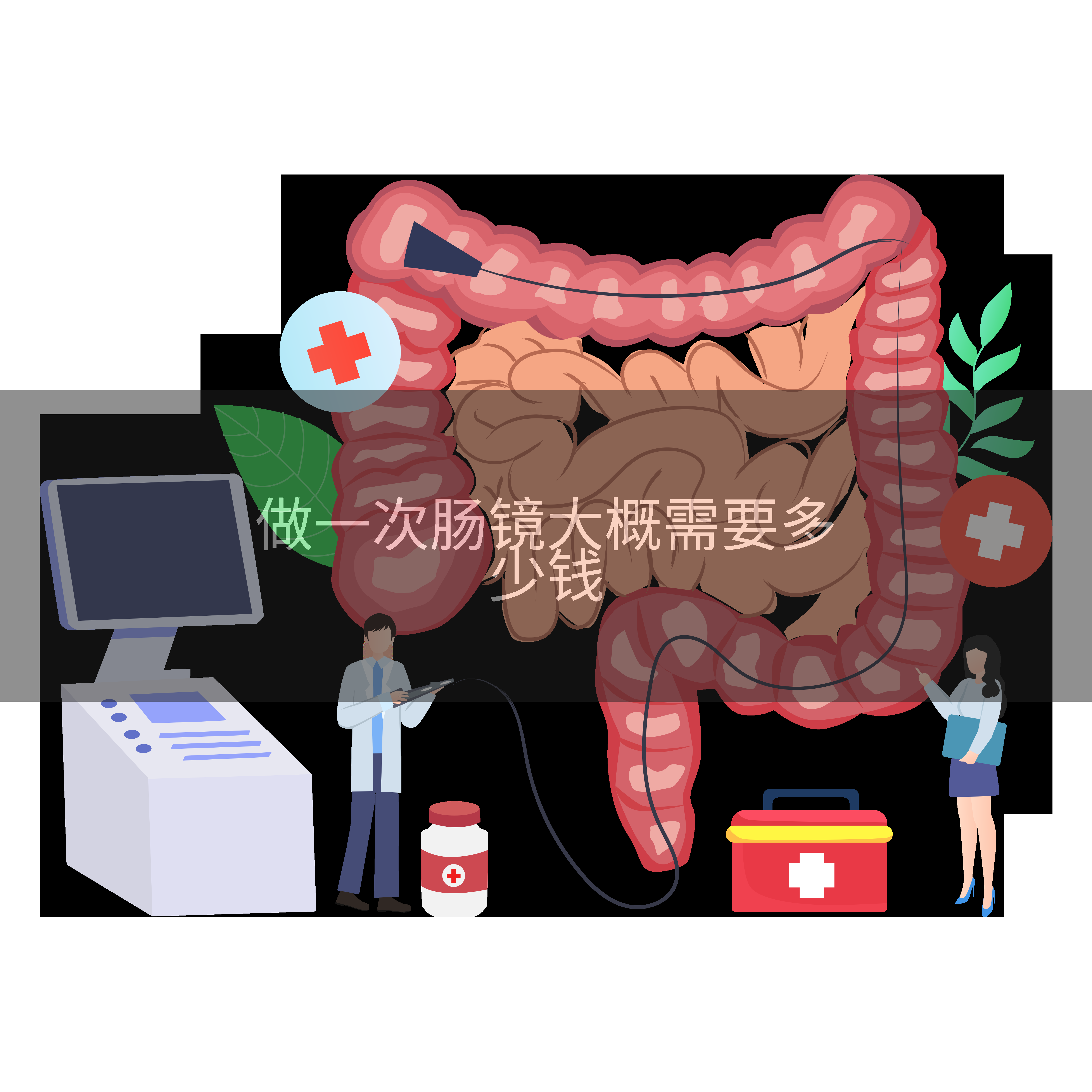 做一次肠镜大概需要多少钱