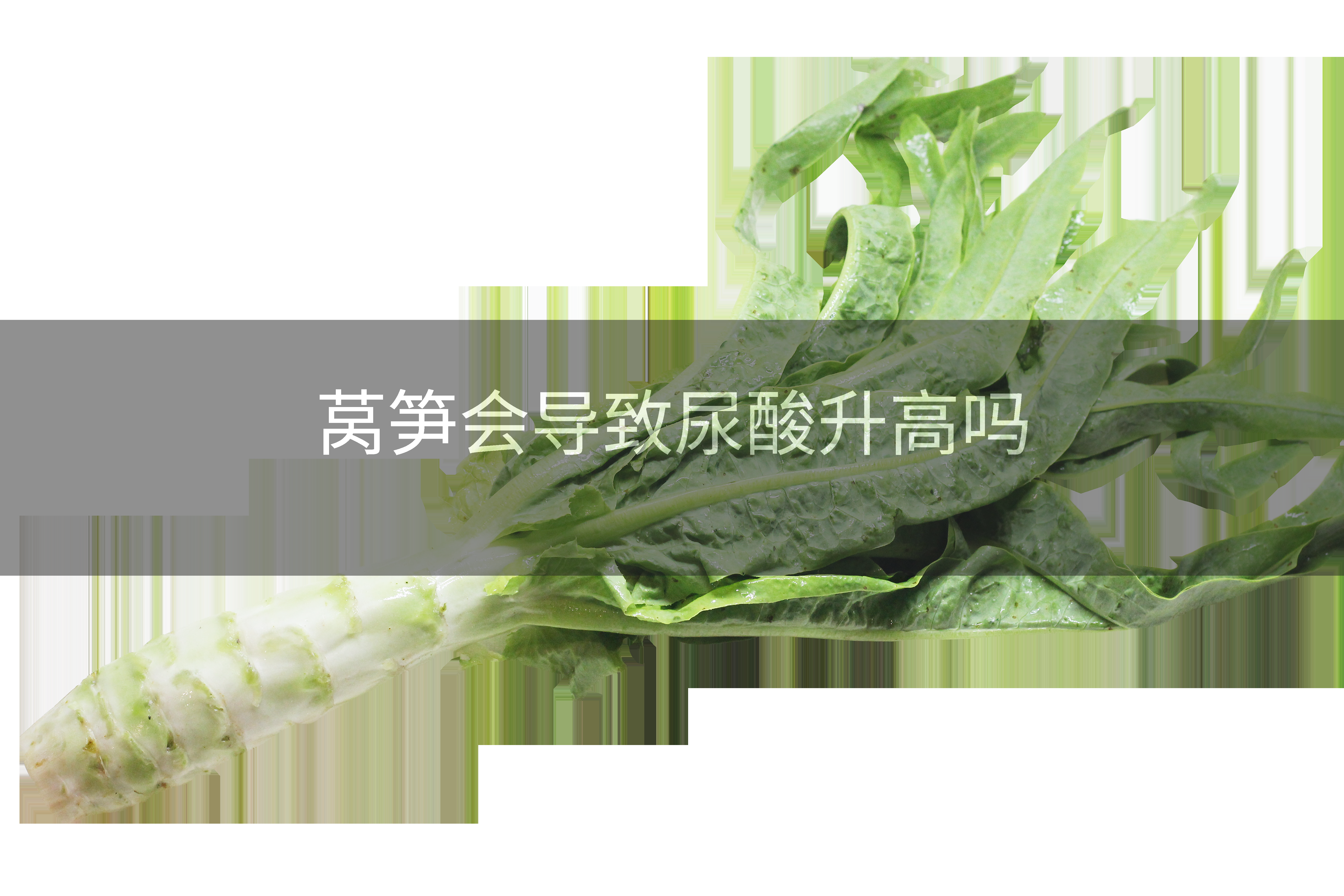莴笋会导致尿酸升高吗