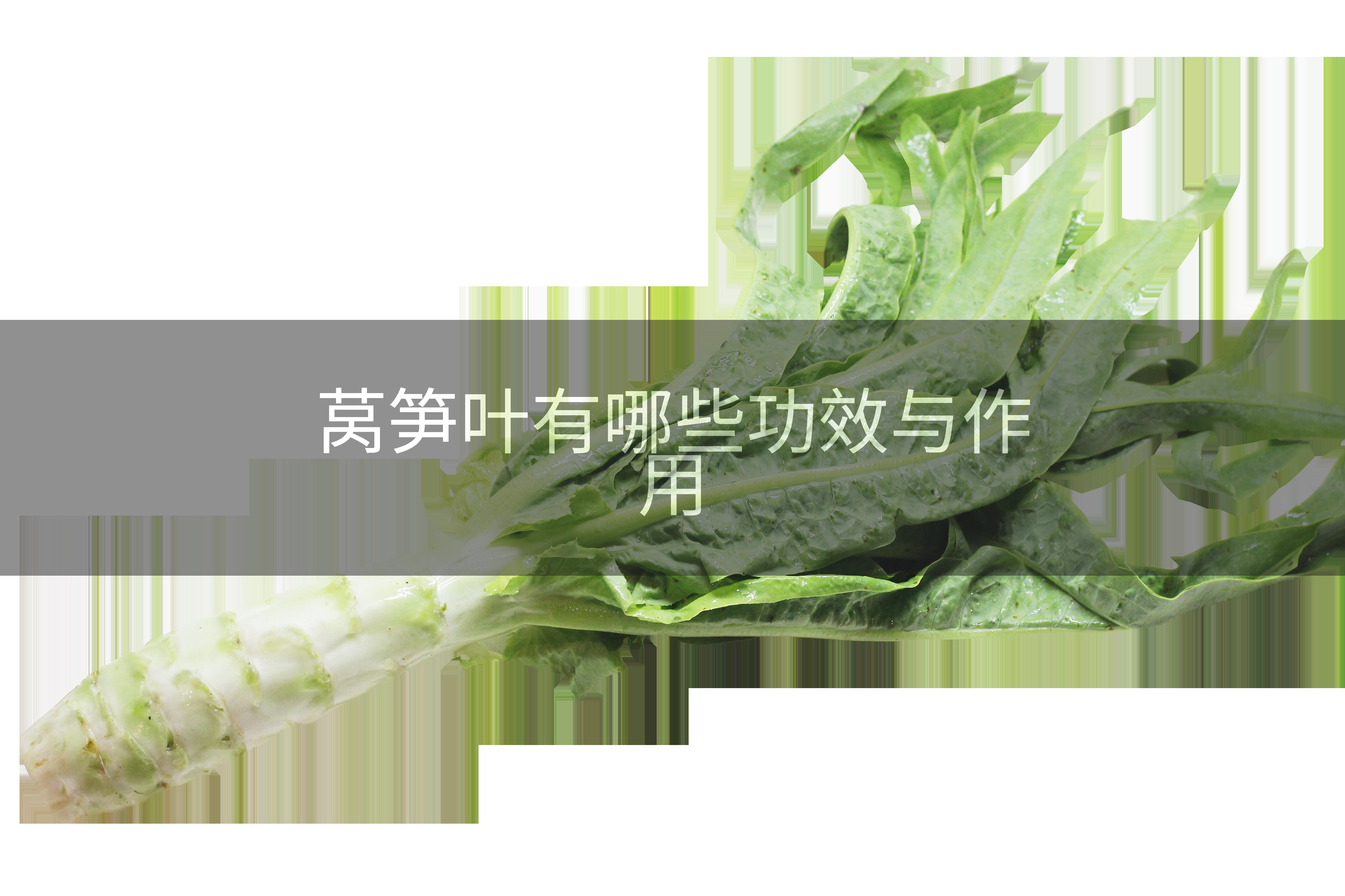 莴笋叶有哪些功效与作用