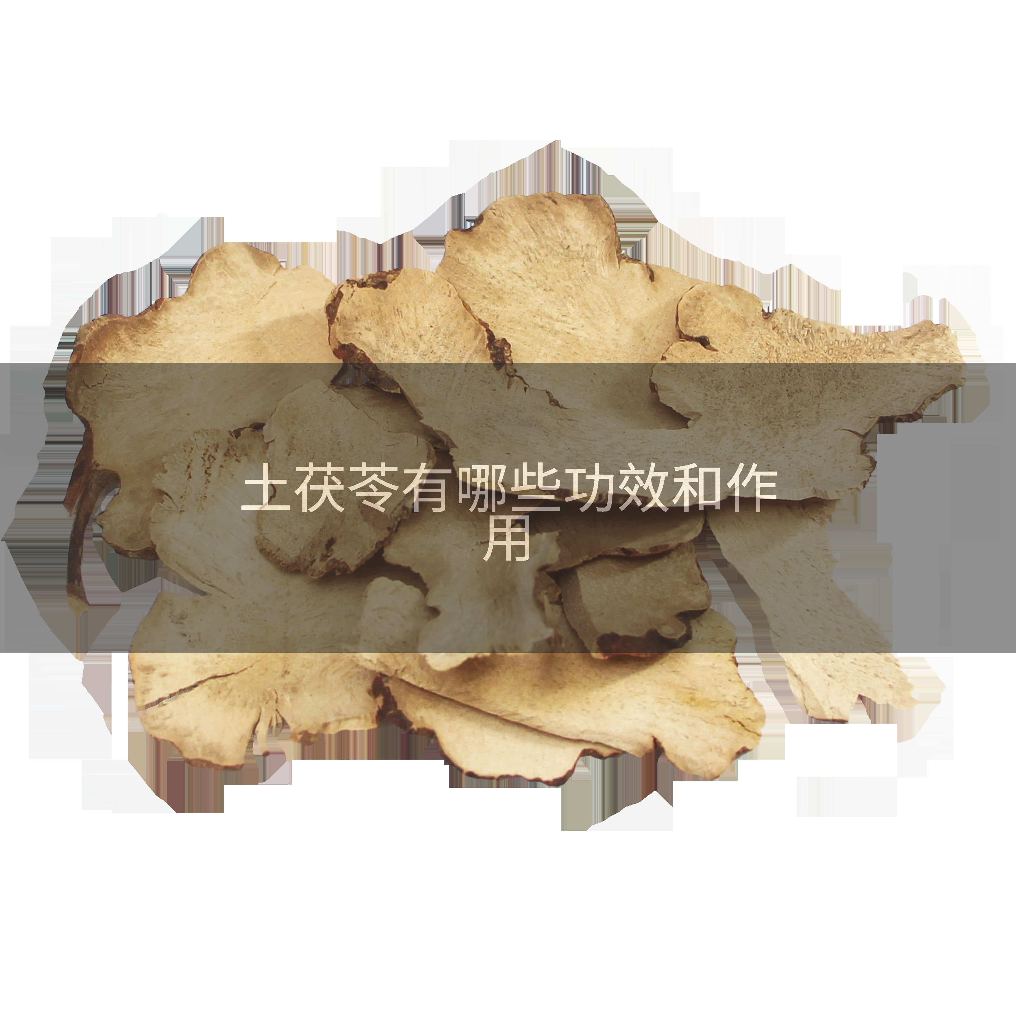 土茯苓有哪些功效和作用