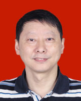 陈渝新