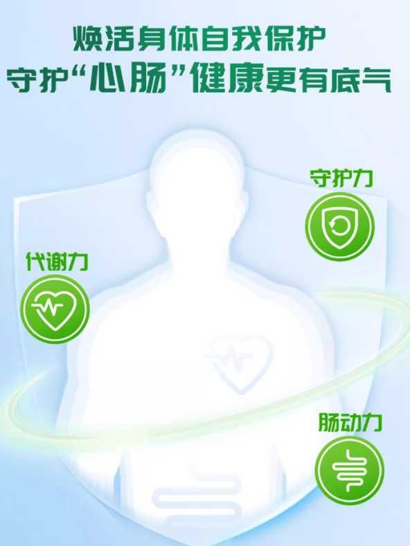 产品介绍