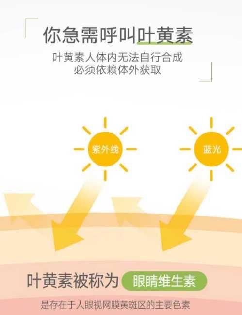 产品介绍