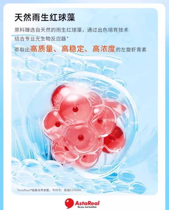 产品介绍