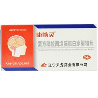 復方吡拉西坦腦蛋白水解物片