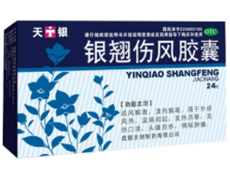 銀翹傷風(fēng)膠囊