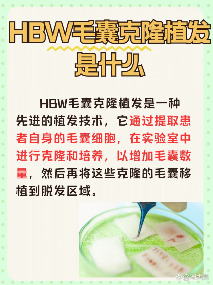 HBW毛囊克隆植发，让你的秀发重获新生！