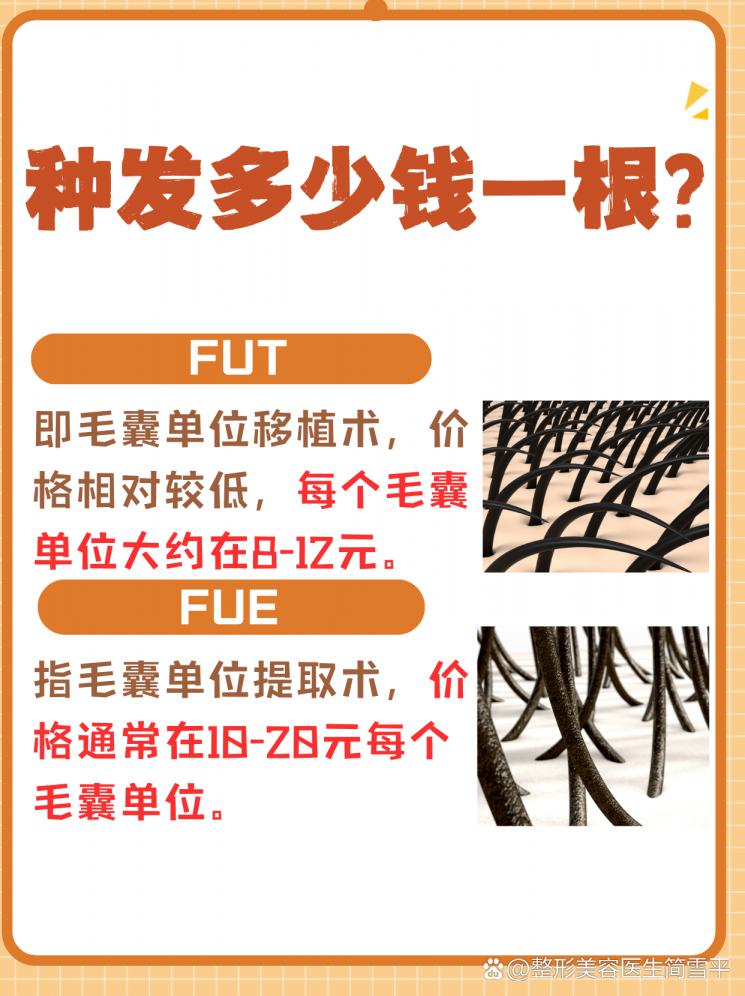 种发价格大揭秘！一根头发到底要多少钱？