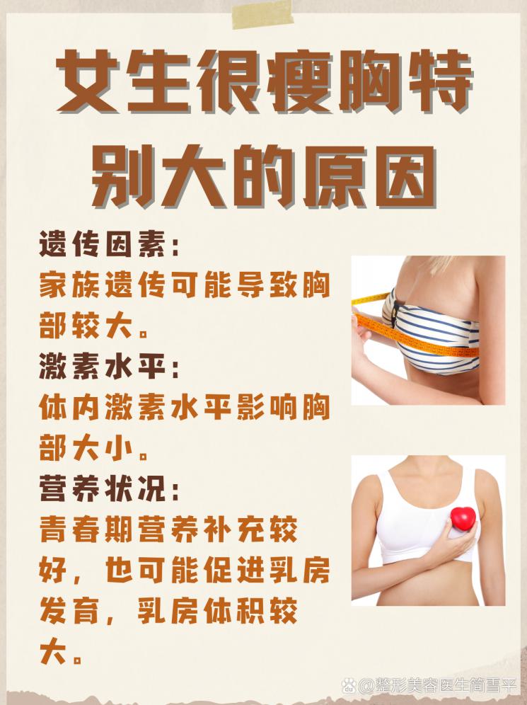 身材探秘：为什么有的女生很瘦胸却特别大？