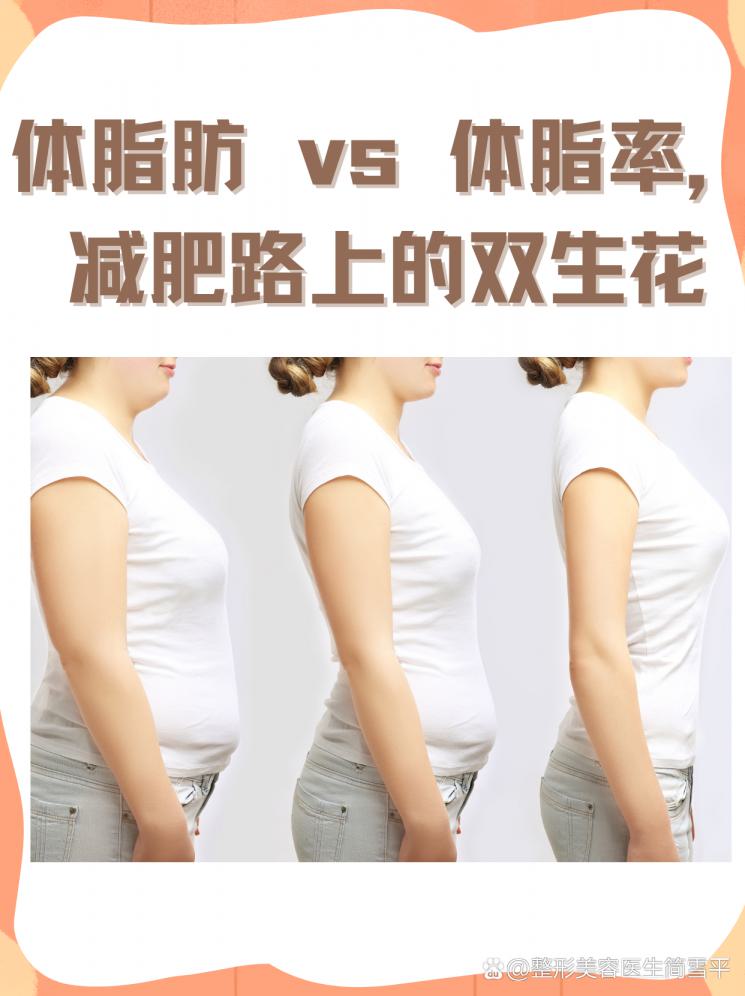 體脂肪 vs 體脂率，減肥路上的雙生花