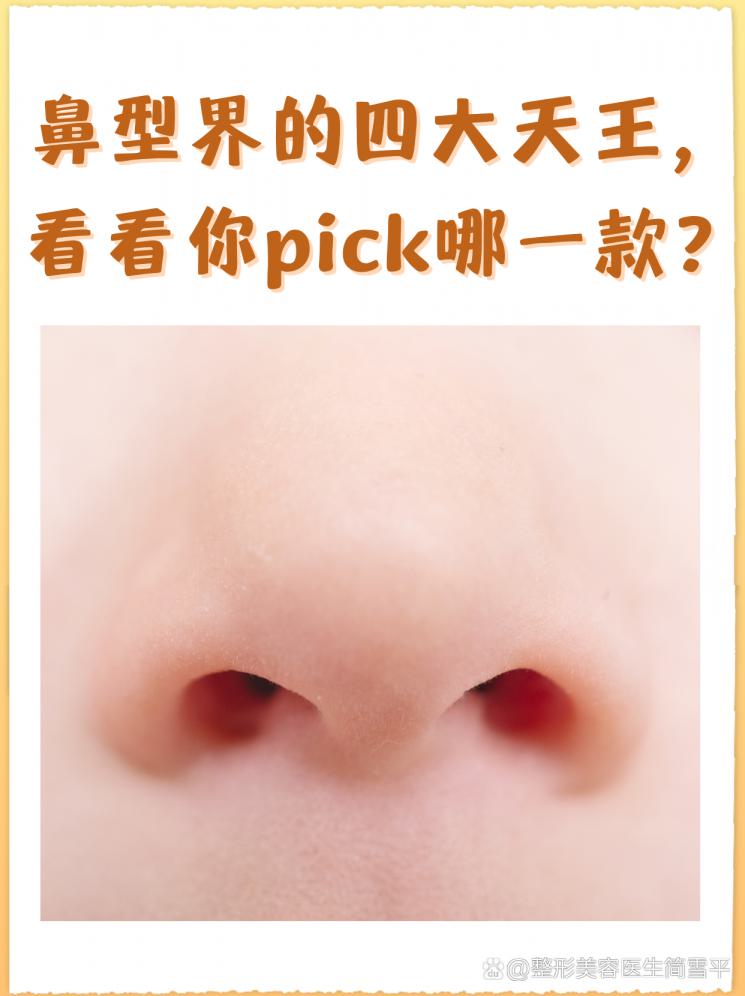 鼻型界的四大天王，看看你pick哪一款？