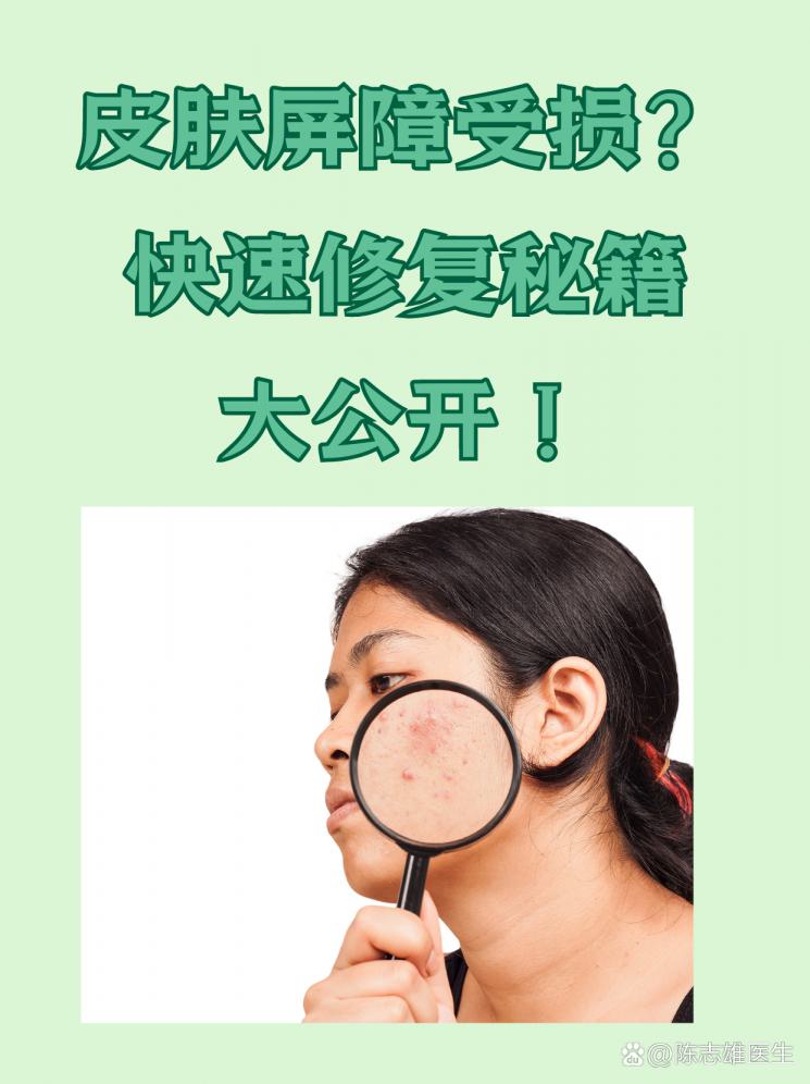 皮膚屏障受損？快速修復秘籍大公開！