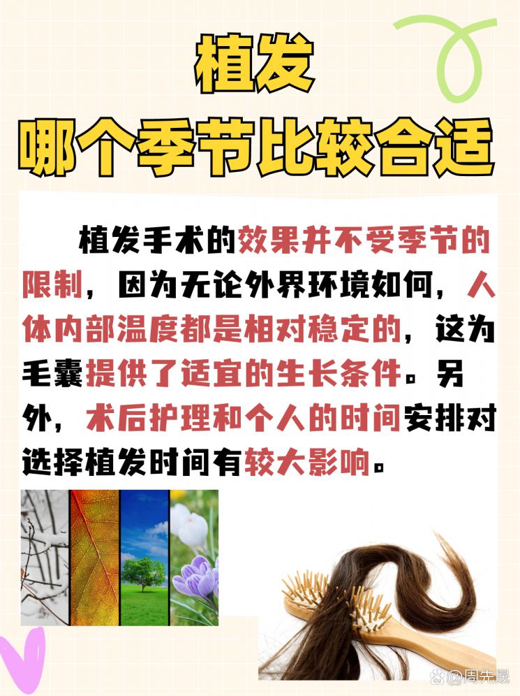 植发哪个季节比较合适