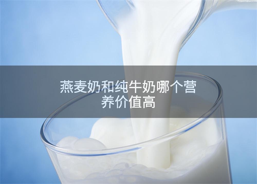 燕麦奶和纯牛奶哪个营养价值高