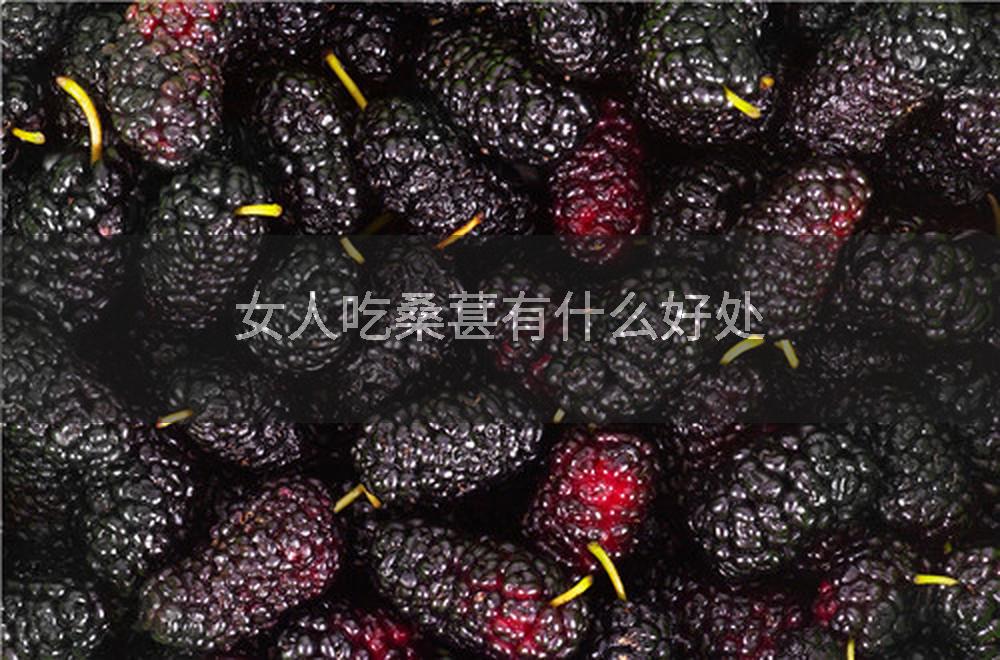 女人吃桑葚有什么好处