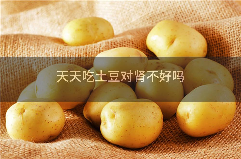 天天吃土豆对肾不好吗