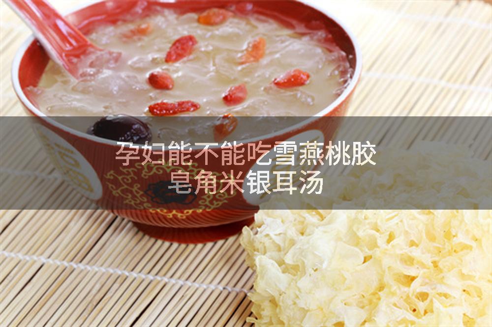 孕妇能不能吃雪燕桃胶皂角米银耳汤