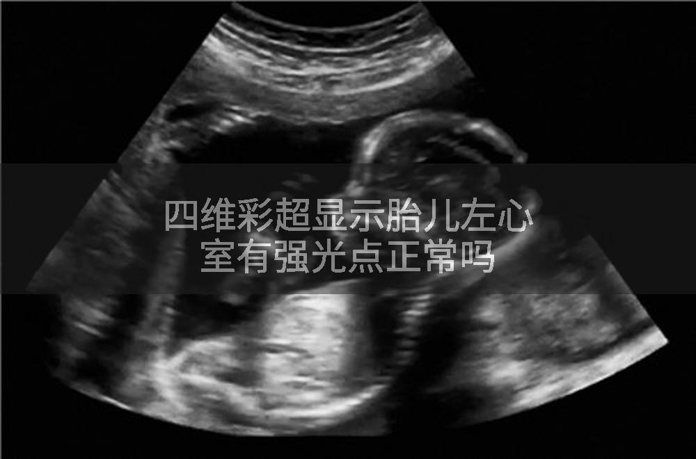 四维彩超显示胎儿左心室有强光点正常吗