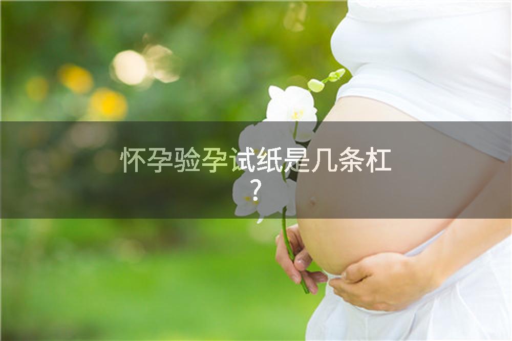 怀孕验孕试纸是几条杠?